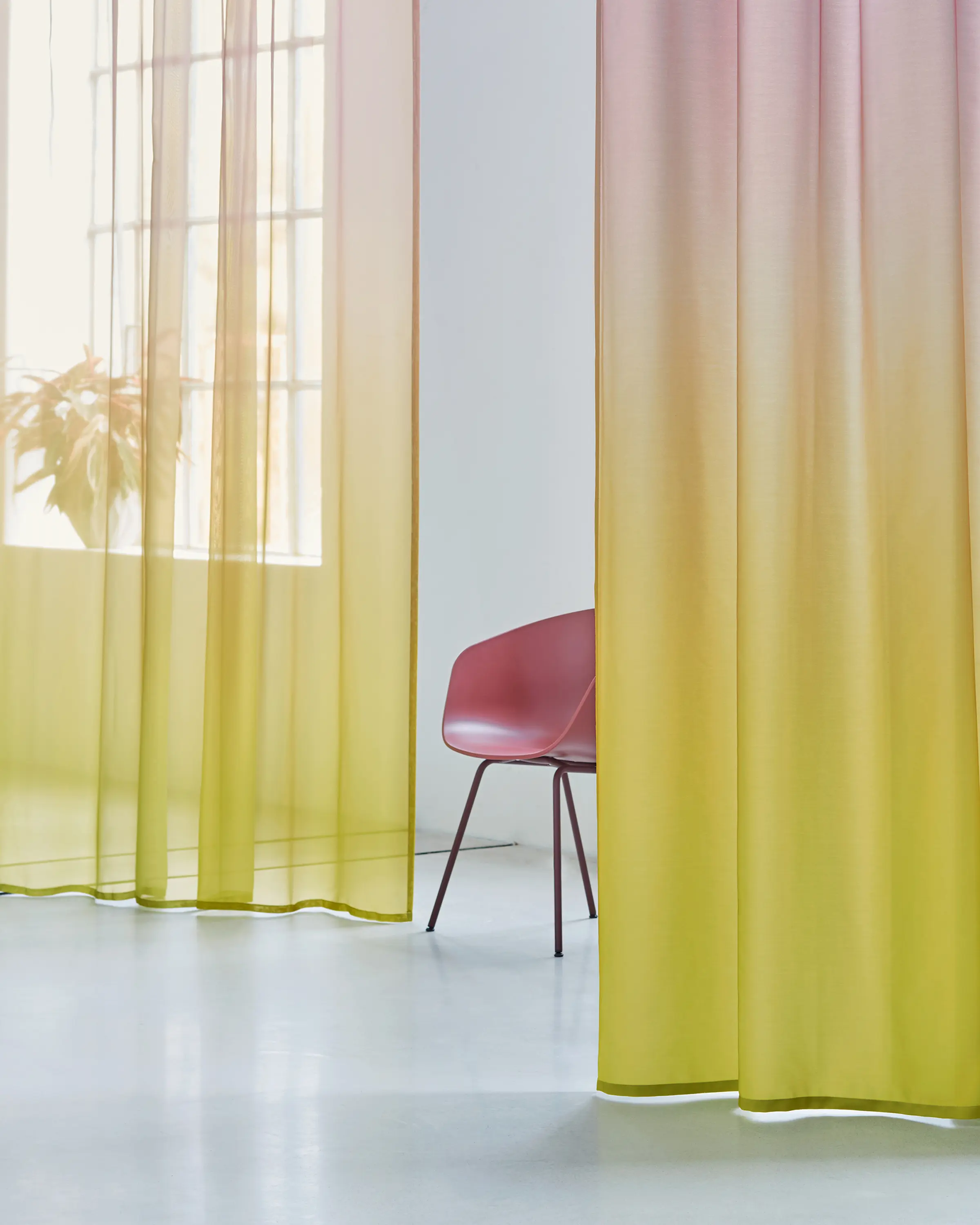 Création Baumann - UMBRIA TINTO - 803