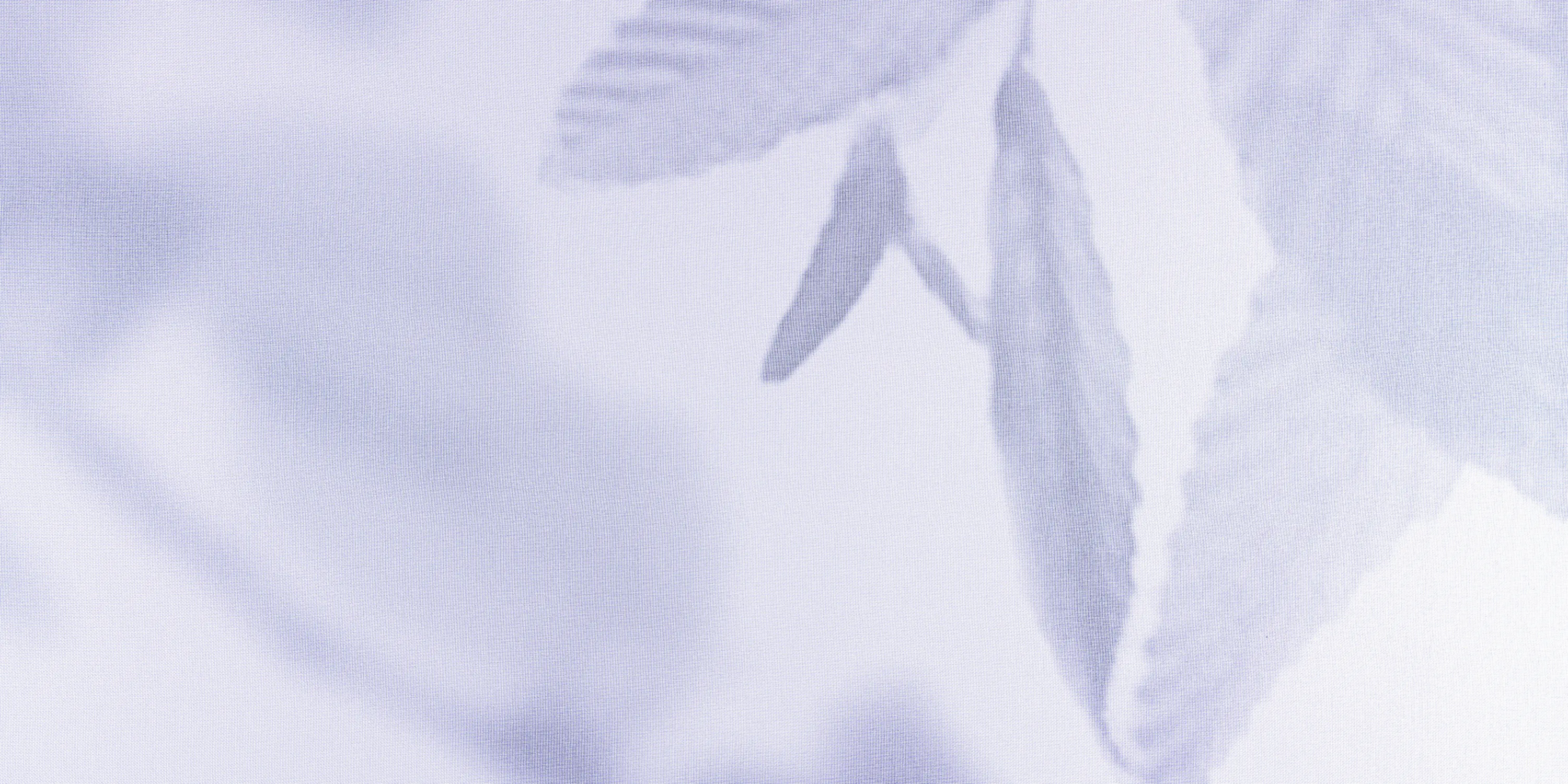 Création Baumann - HERBA - 52