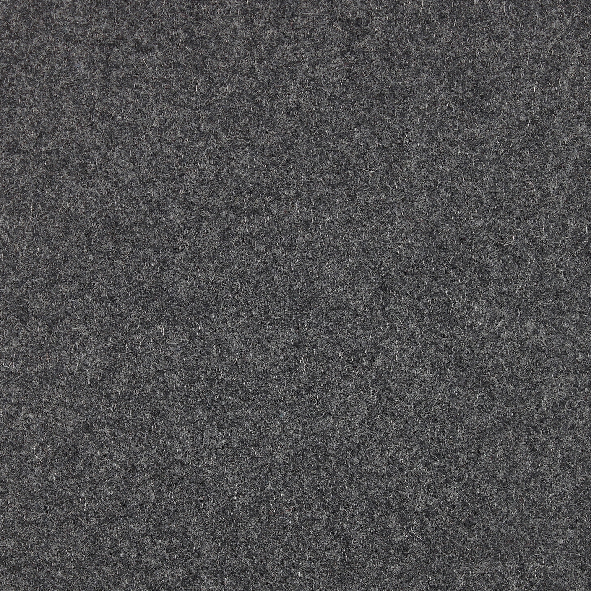 CAVALLO PIU - 202