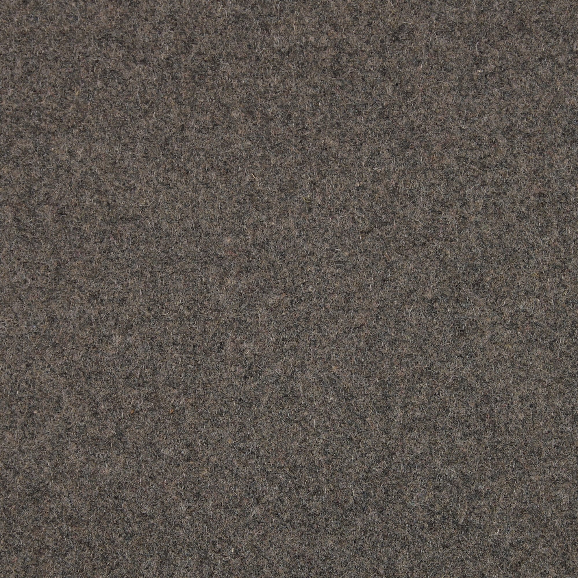 Mostra il prodotto CAVALLO PIU - 214 del produttore Création Baumann