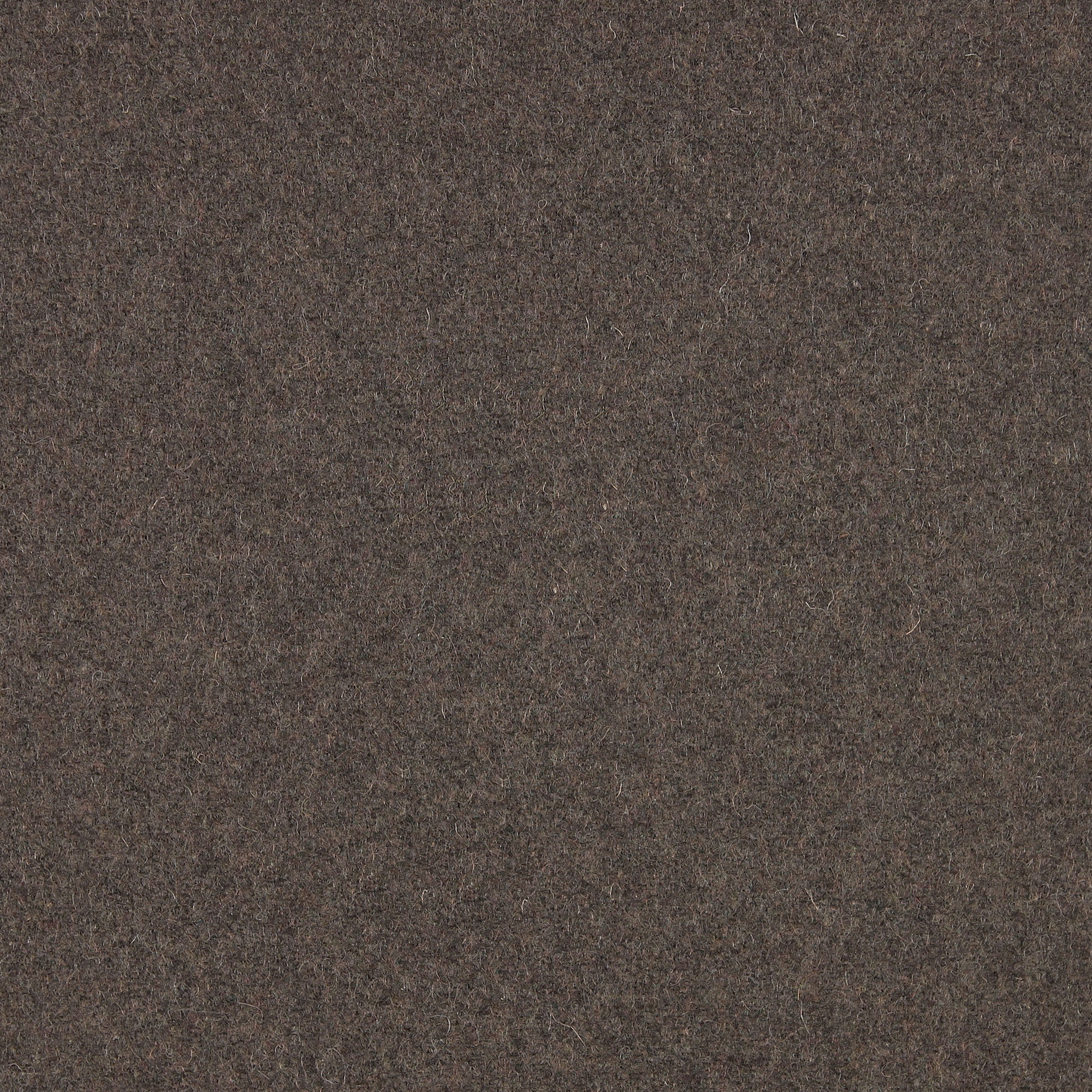 Mostra il prodotto CAVALLO PIU - 215 del produttore Création Baumann