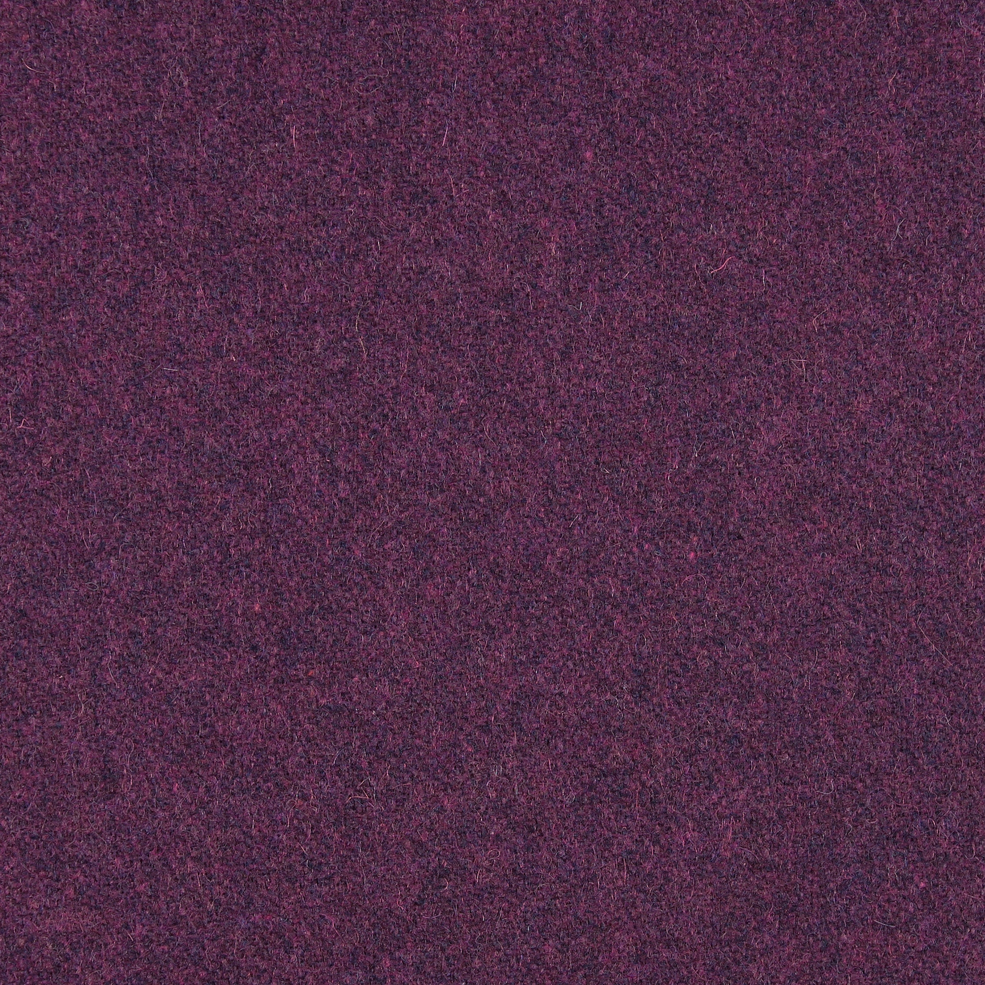 Mostrar el producto CAVALLO PIU - 236 del fabricante Création Baumann