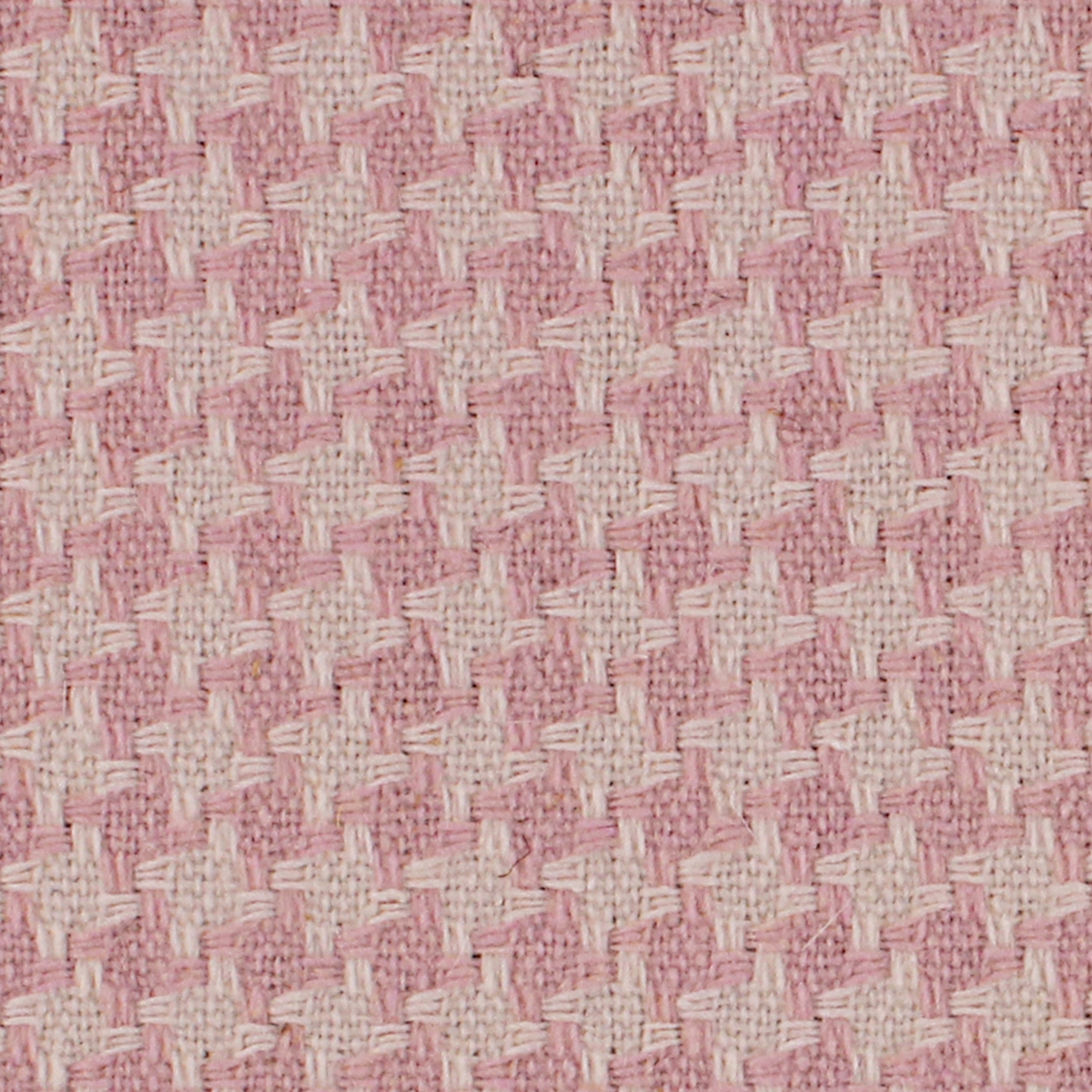 CAVALLO COCO - 324