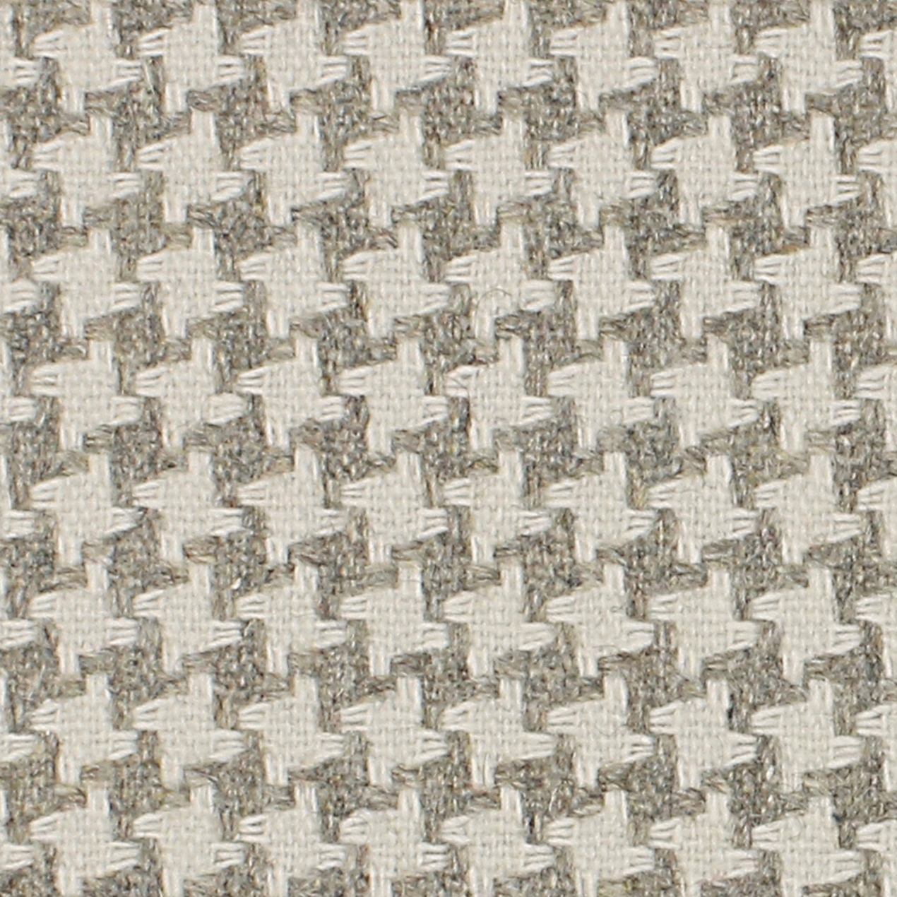 CAVALLO COCO - 325