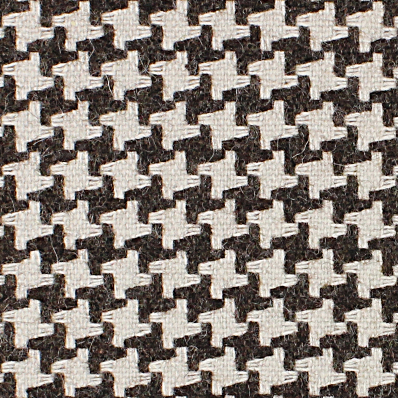 CAVALLO COCO - 329