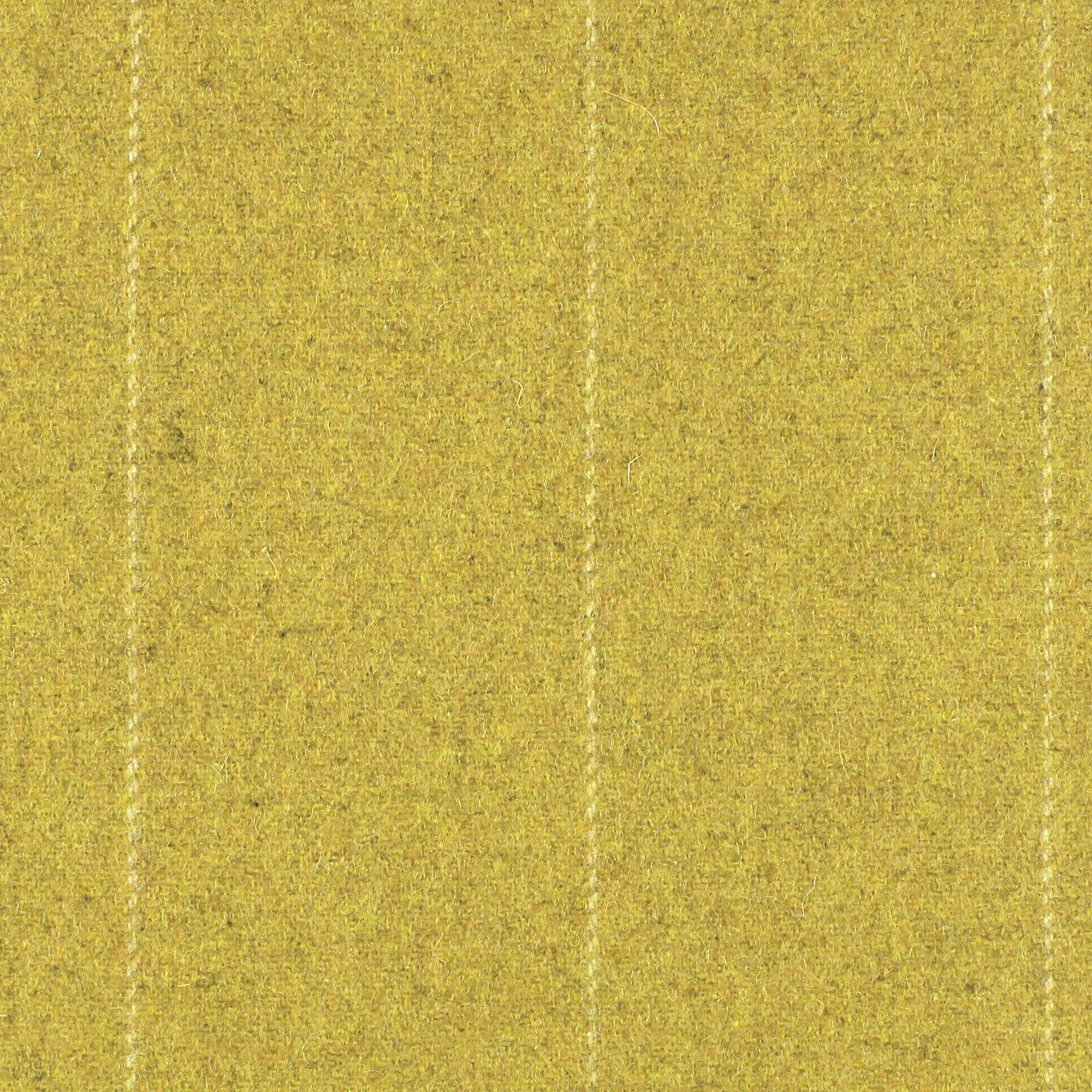 CAVALLO LINEA - 343