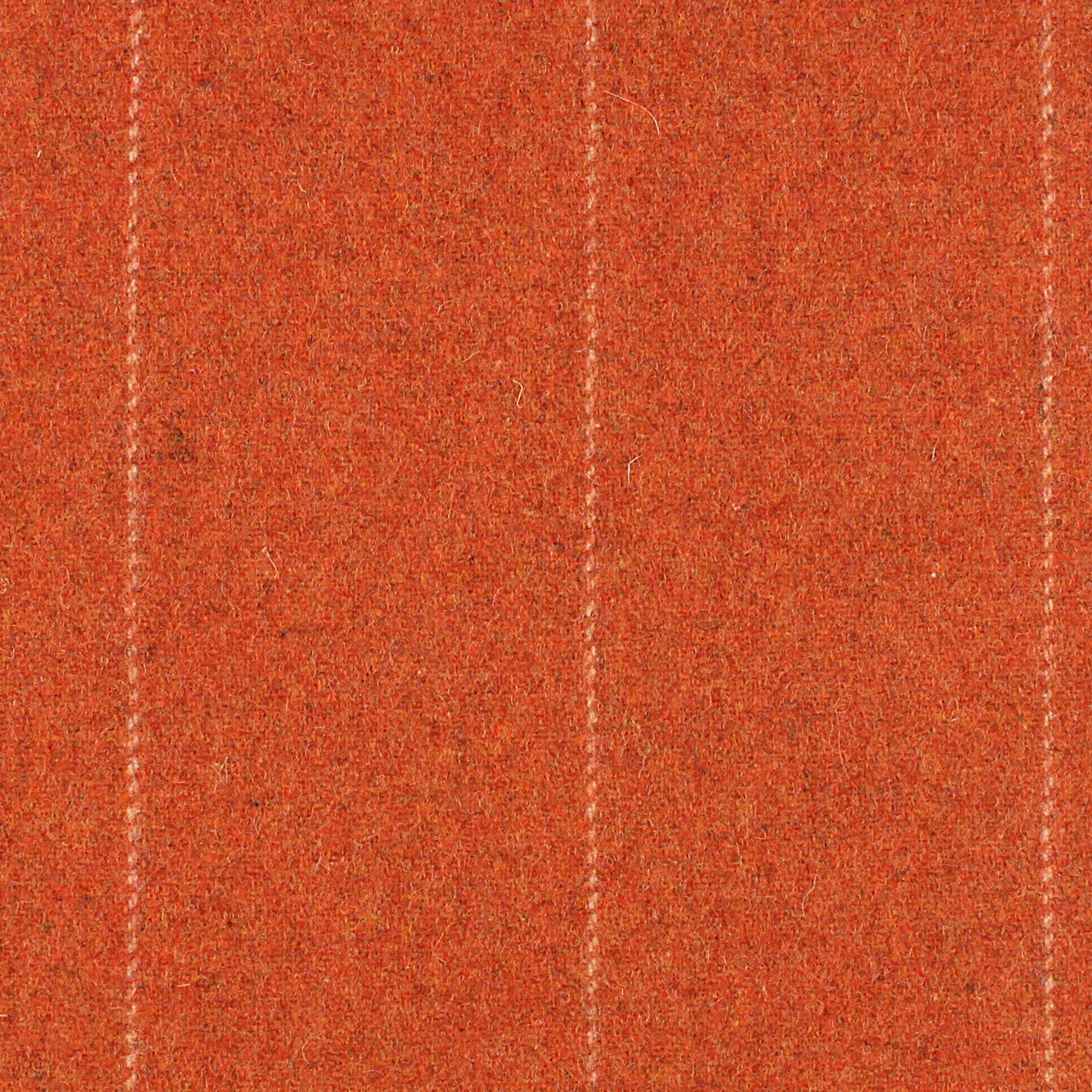 CAVALLO LINEA - 344