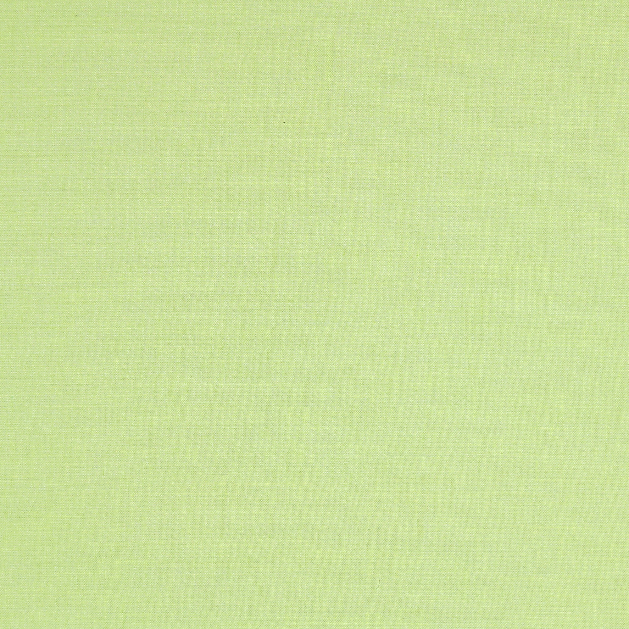 Display product GECKO CRENA UN - 5182 from manufacturer Création Baumann