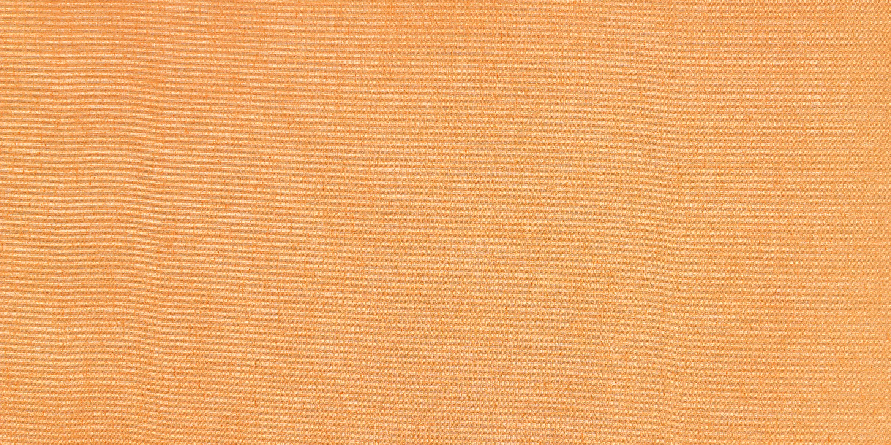 Création Baumann - GECKO CRENA UN - 5206