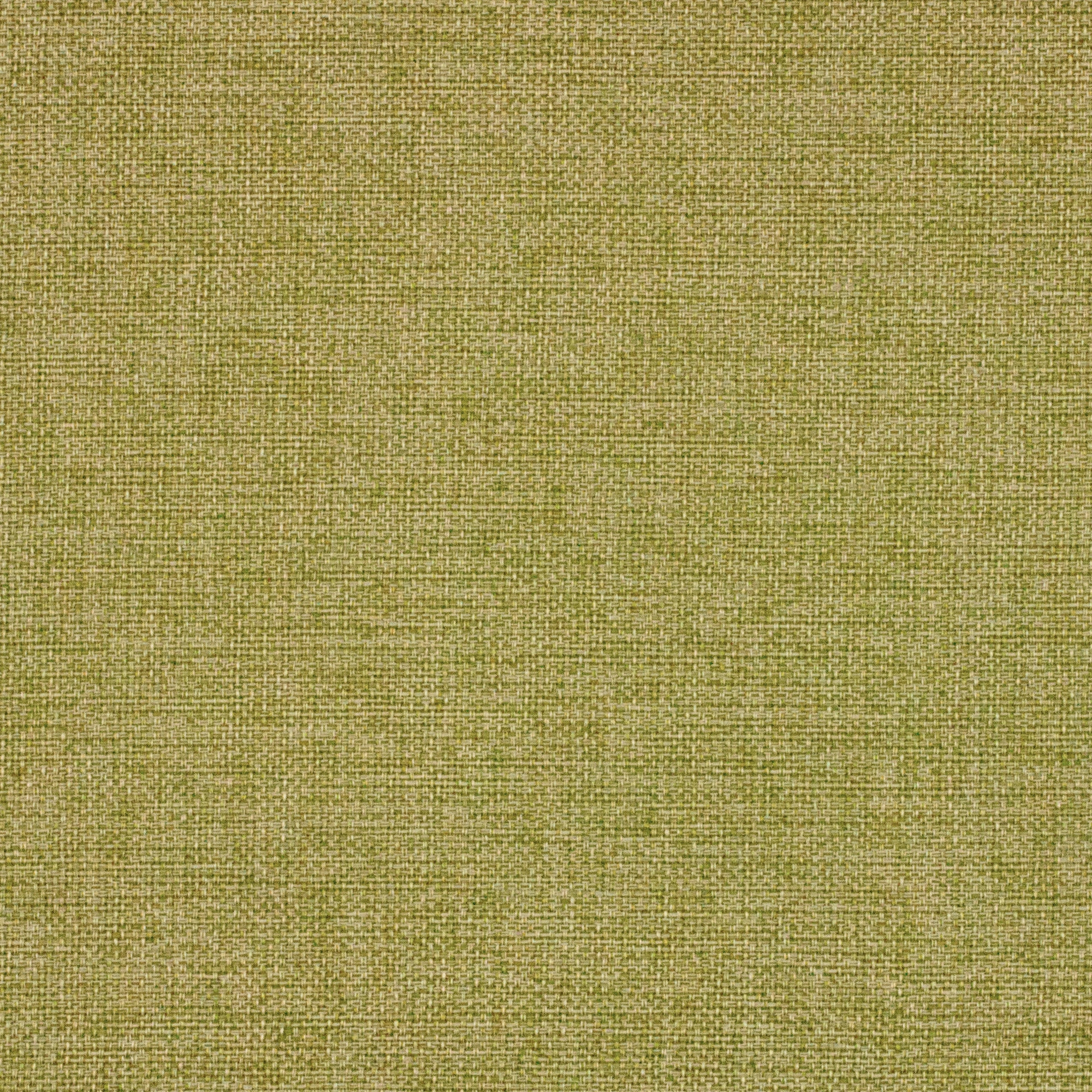 Display product MYSTERY - 117 from manufacturer Création Baumann