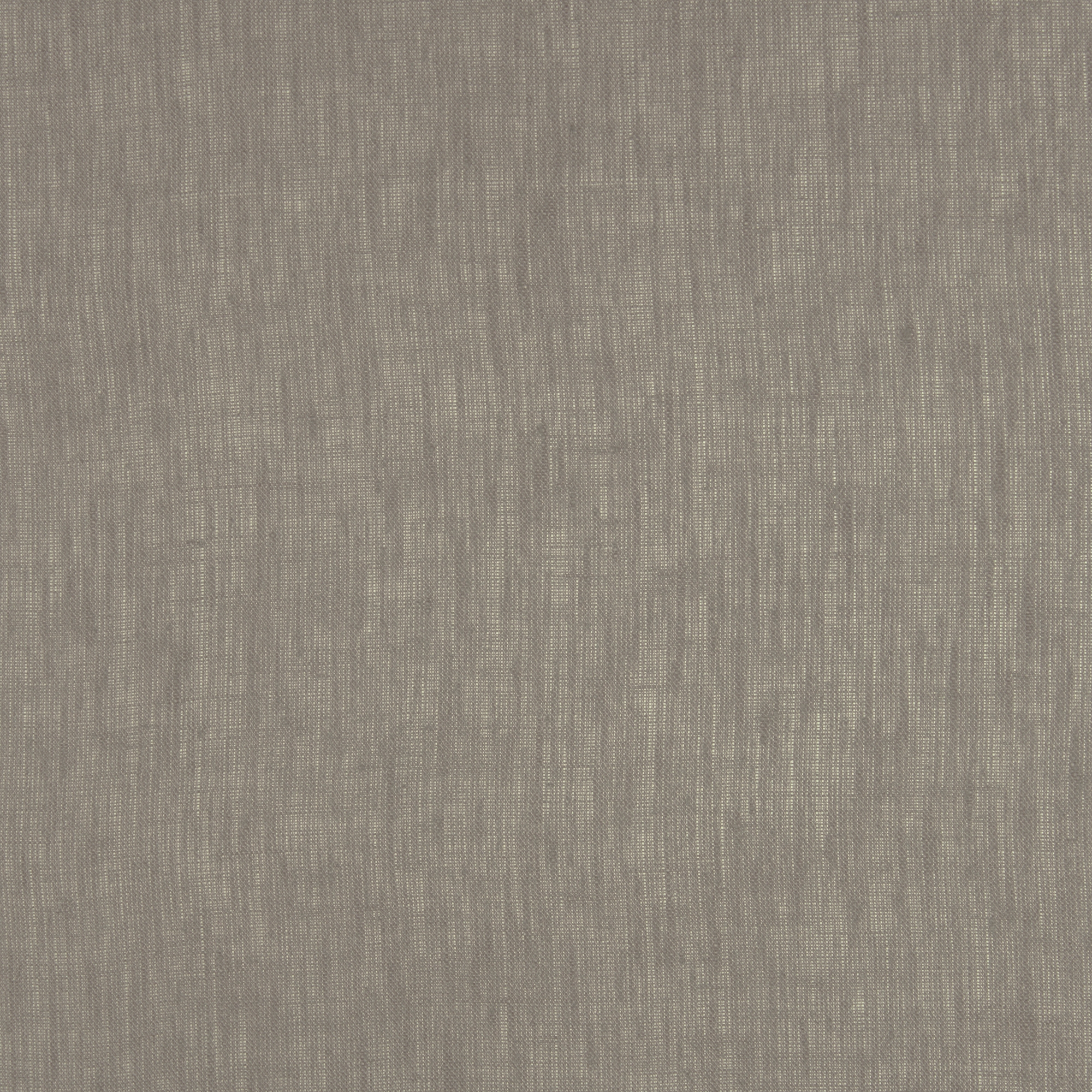 FILINO COLOR II - 53