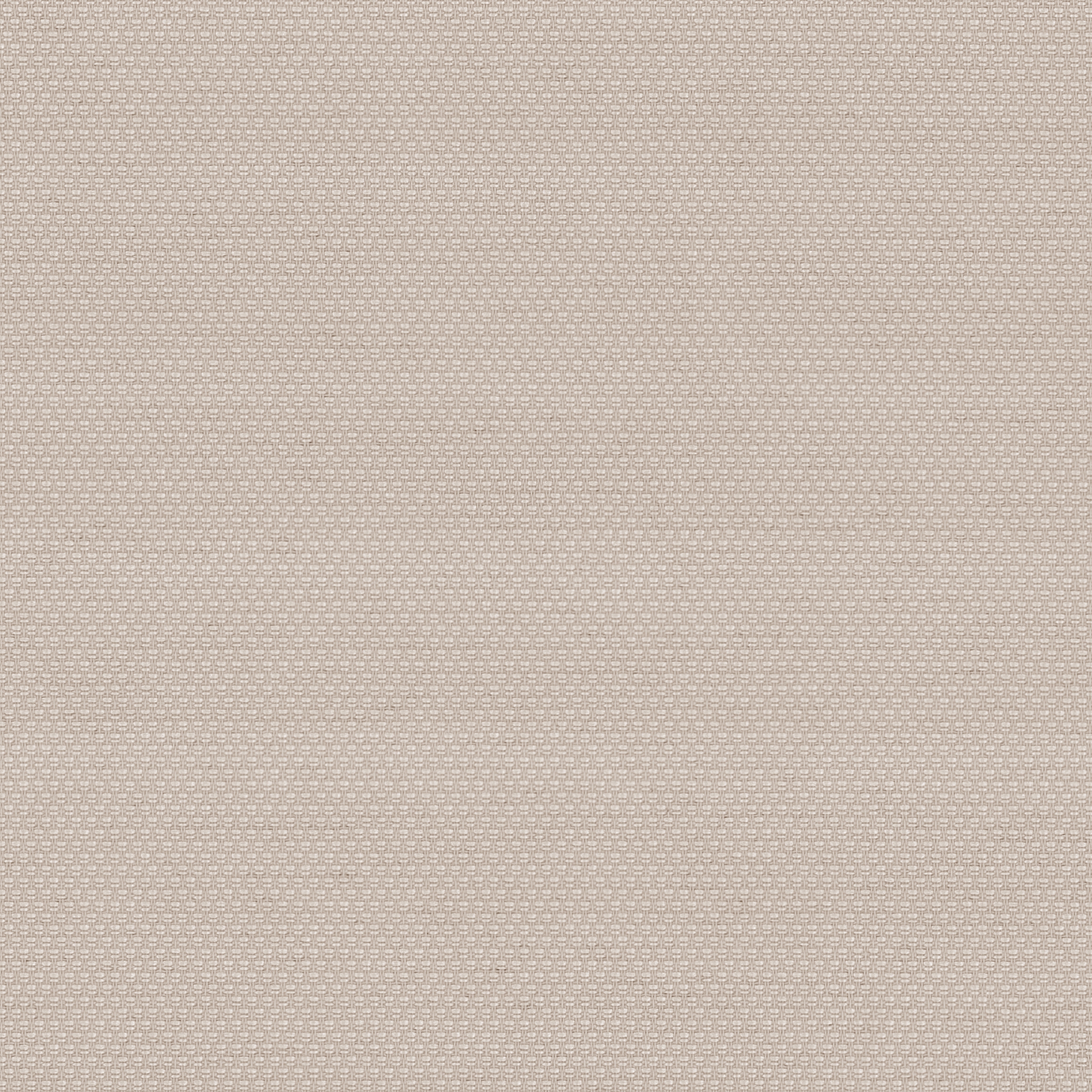 Display product SHADE DENSE - 563 from manufacturer Création Baumann