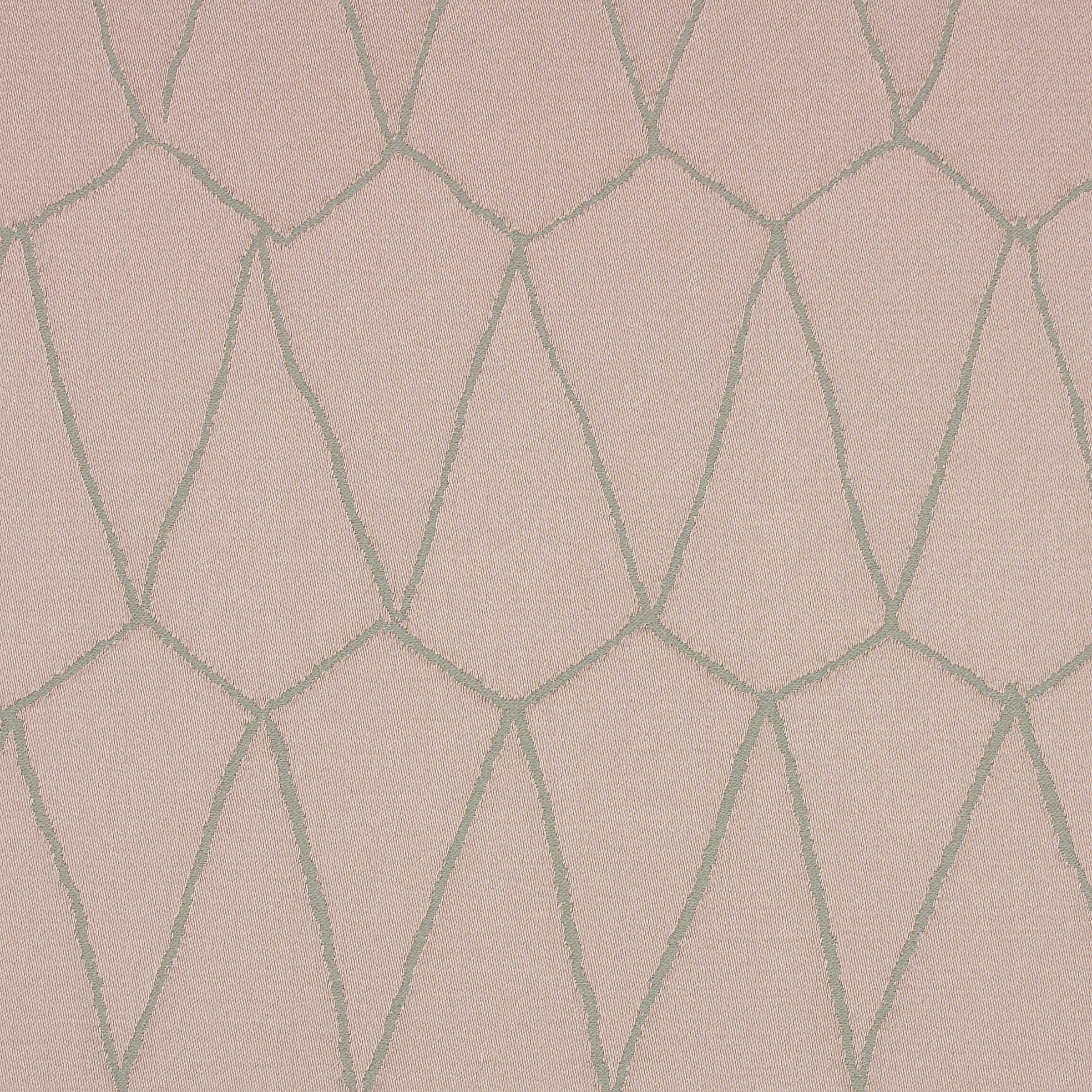 DAPHNE - 11