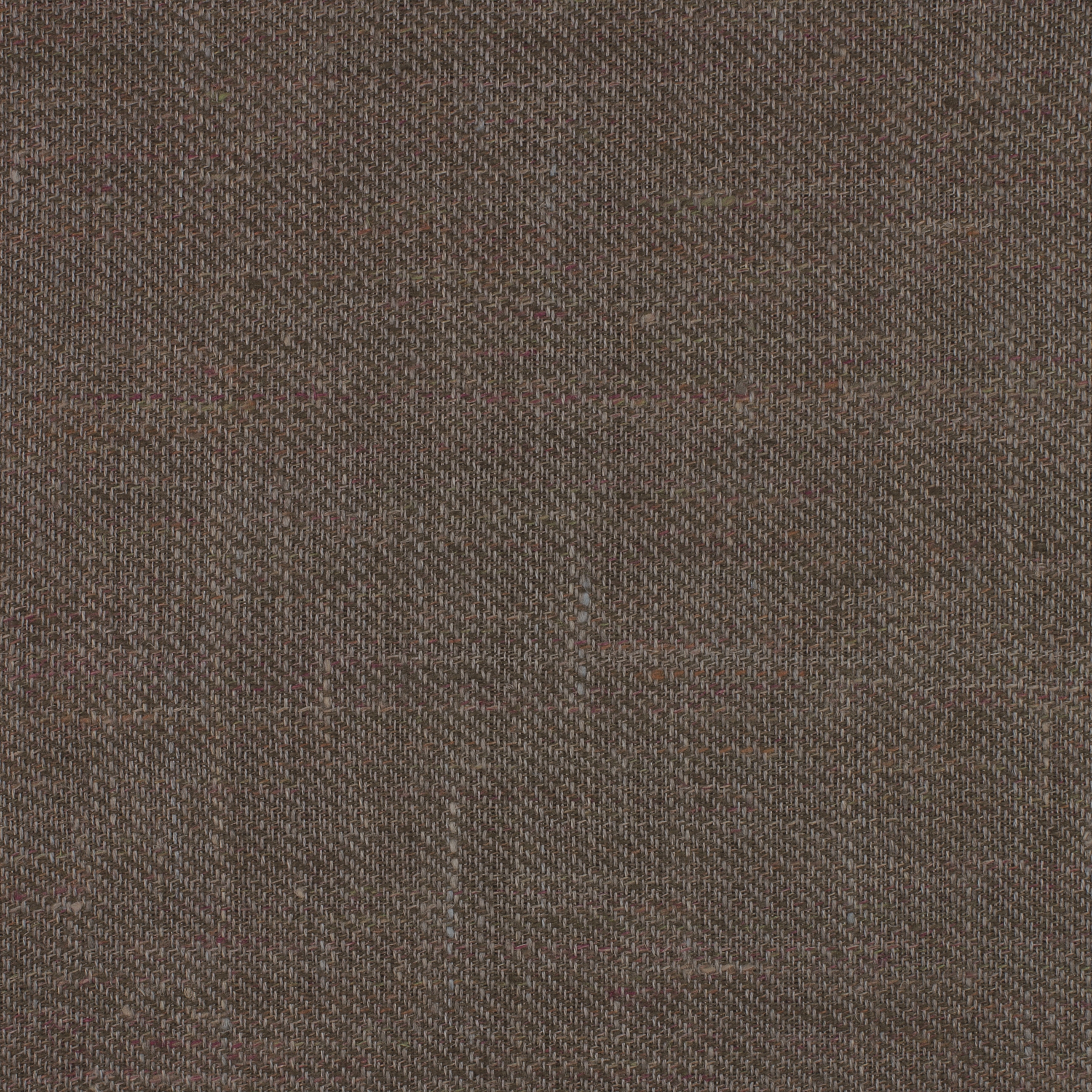 GINGER - 0006