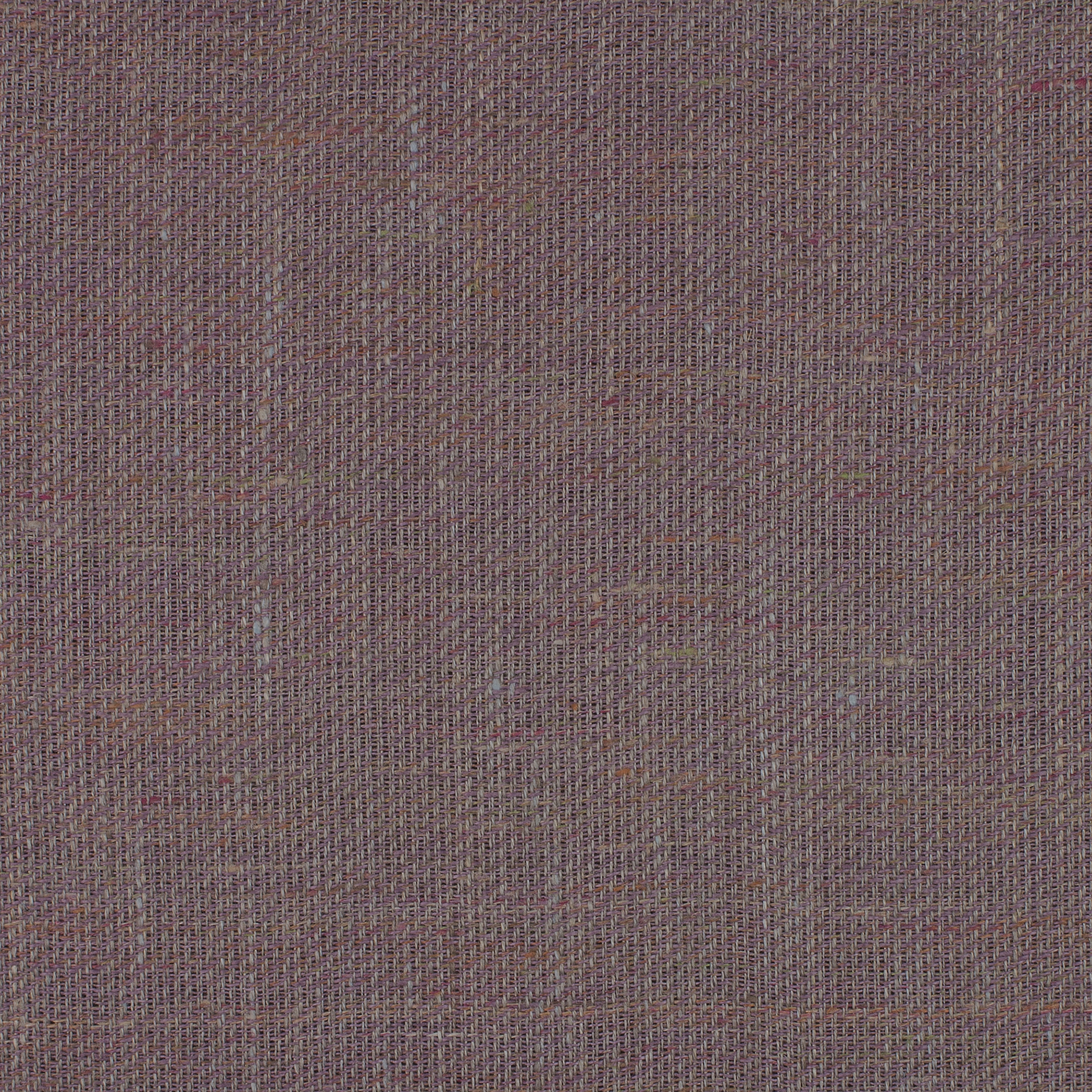 GINGER - 0009