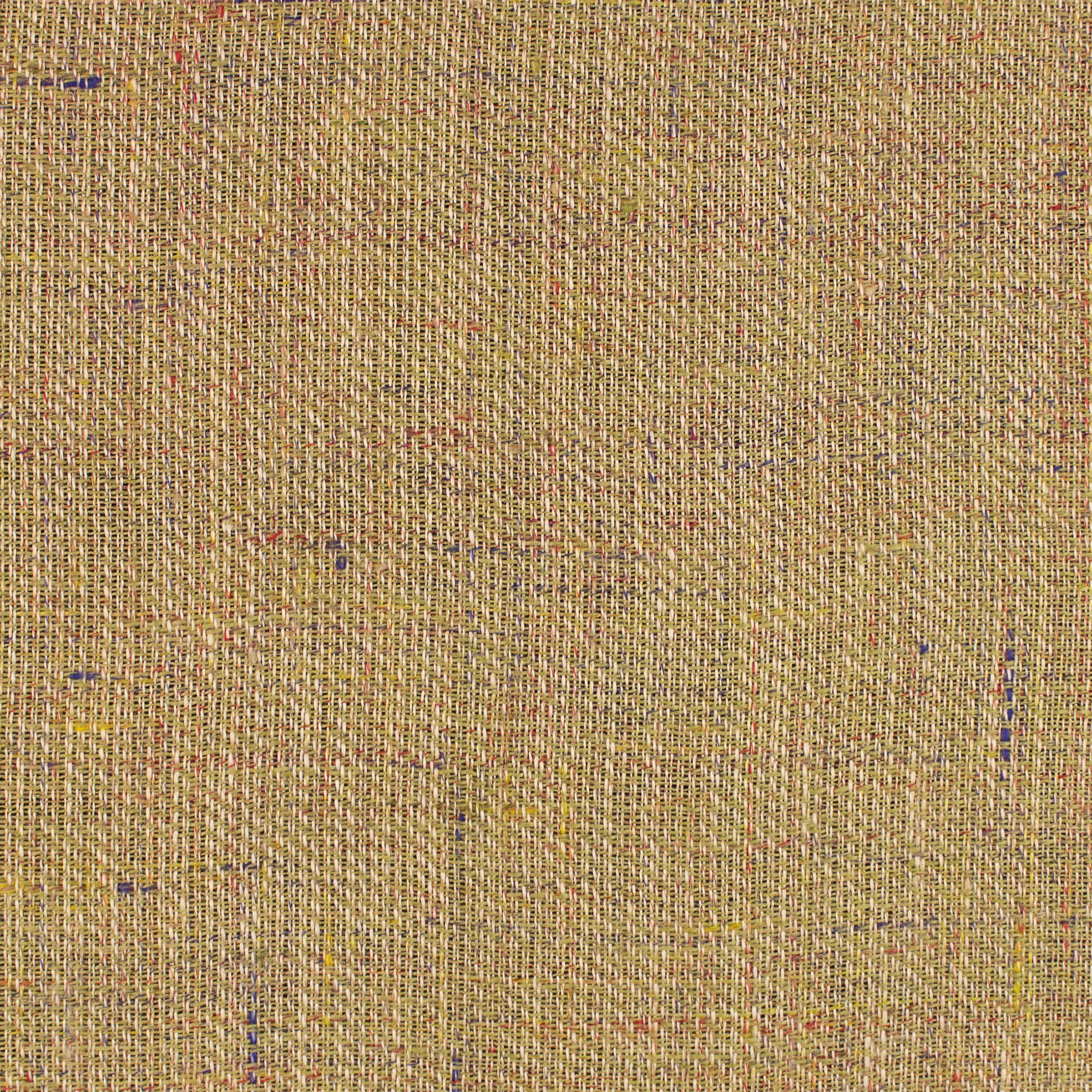GINGER - 0013