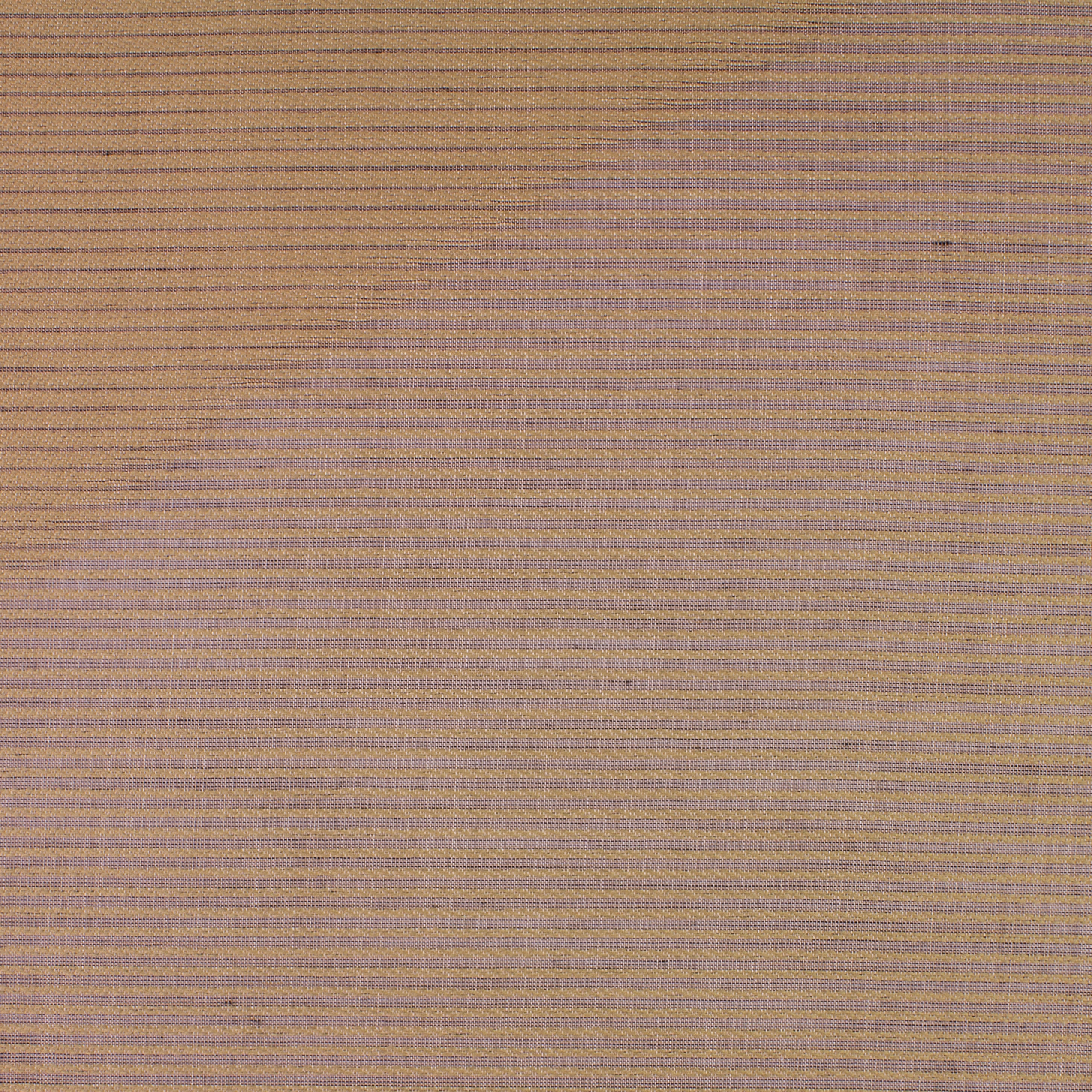 JASPIS WING - 0305