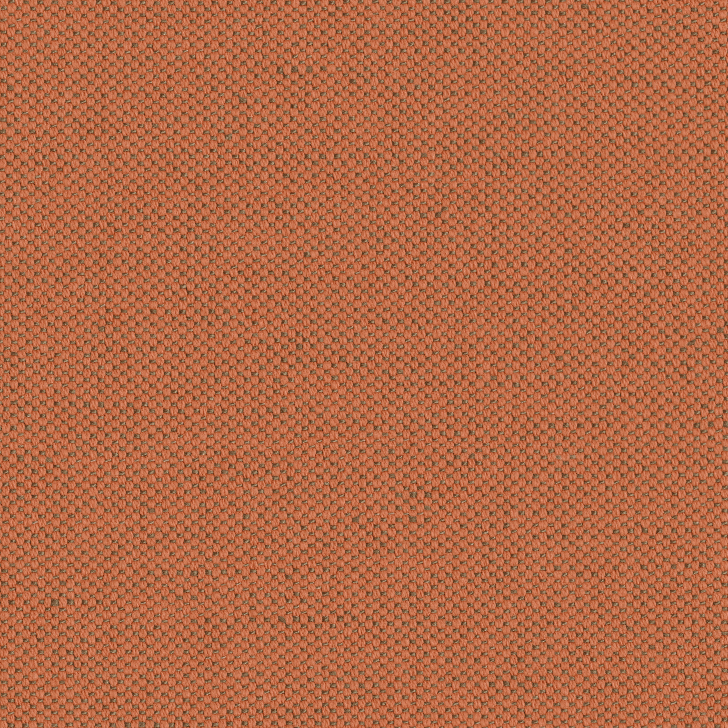 BAUDOLINO - 43
