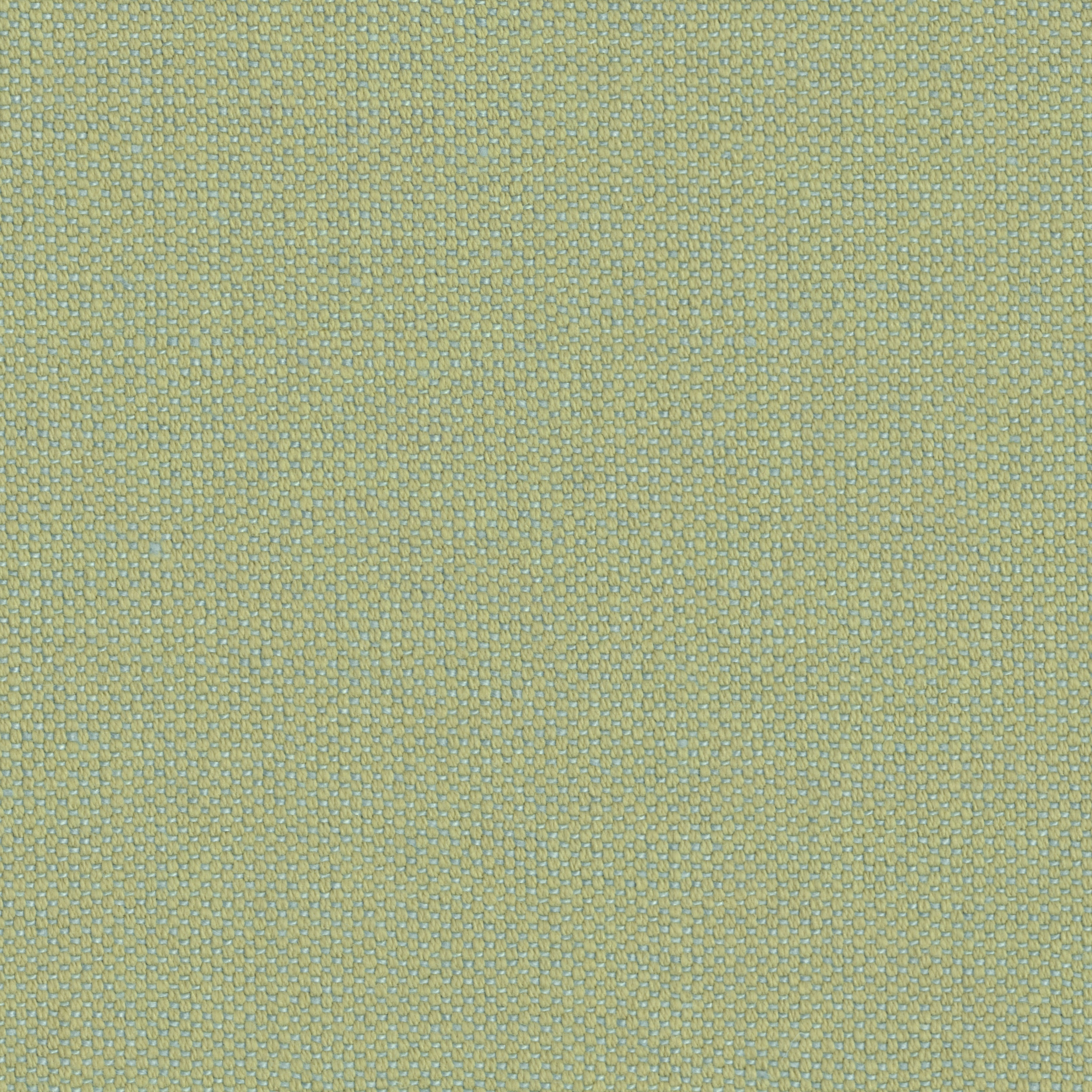 BAUDOLINO - 49