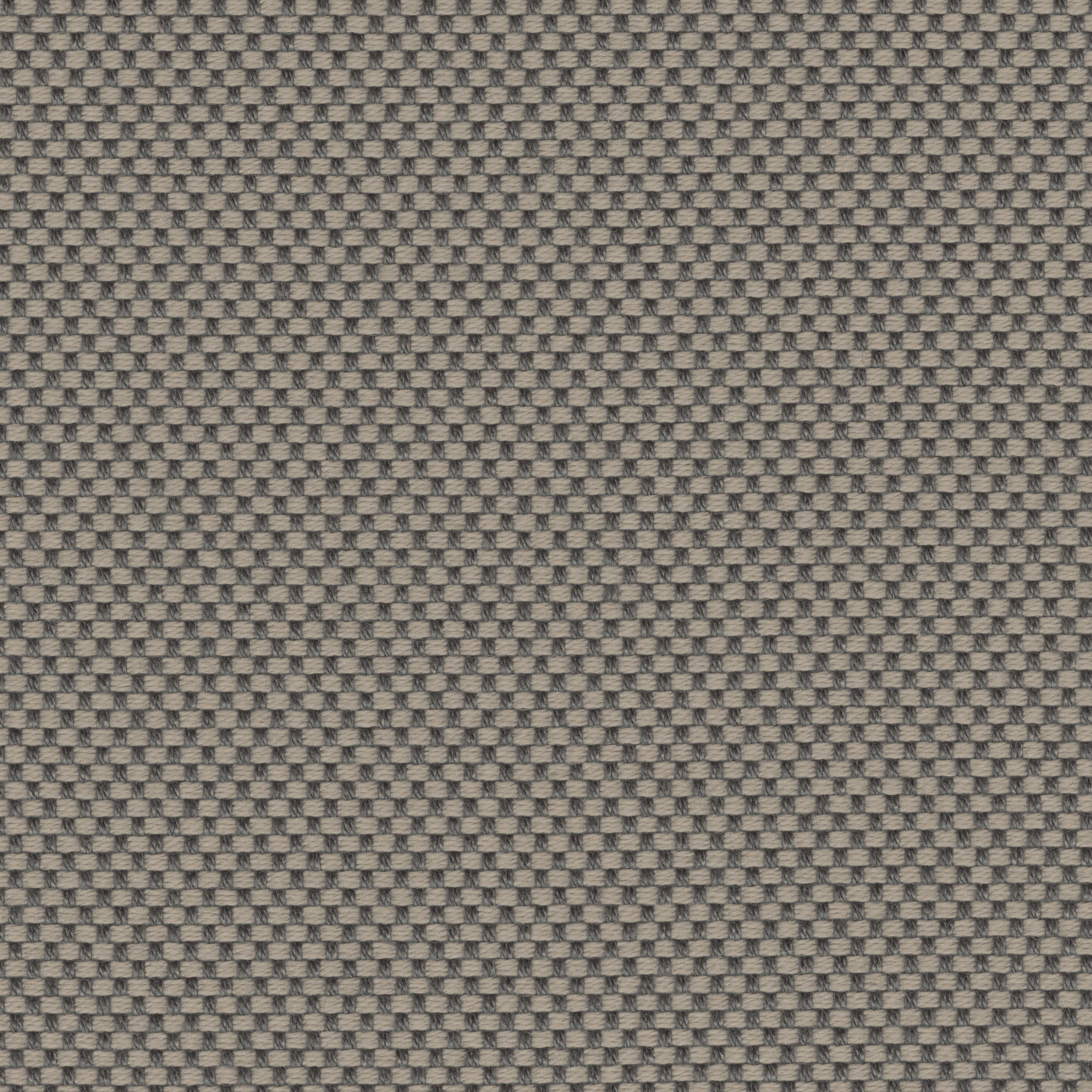 FOCUS - 107