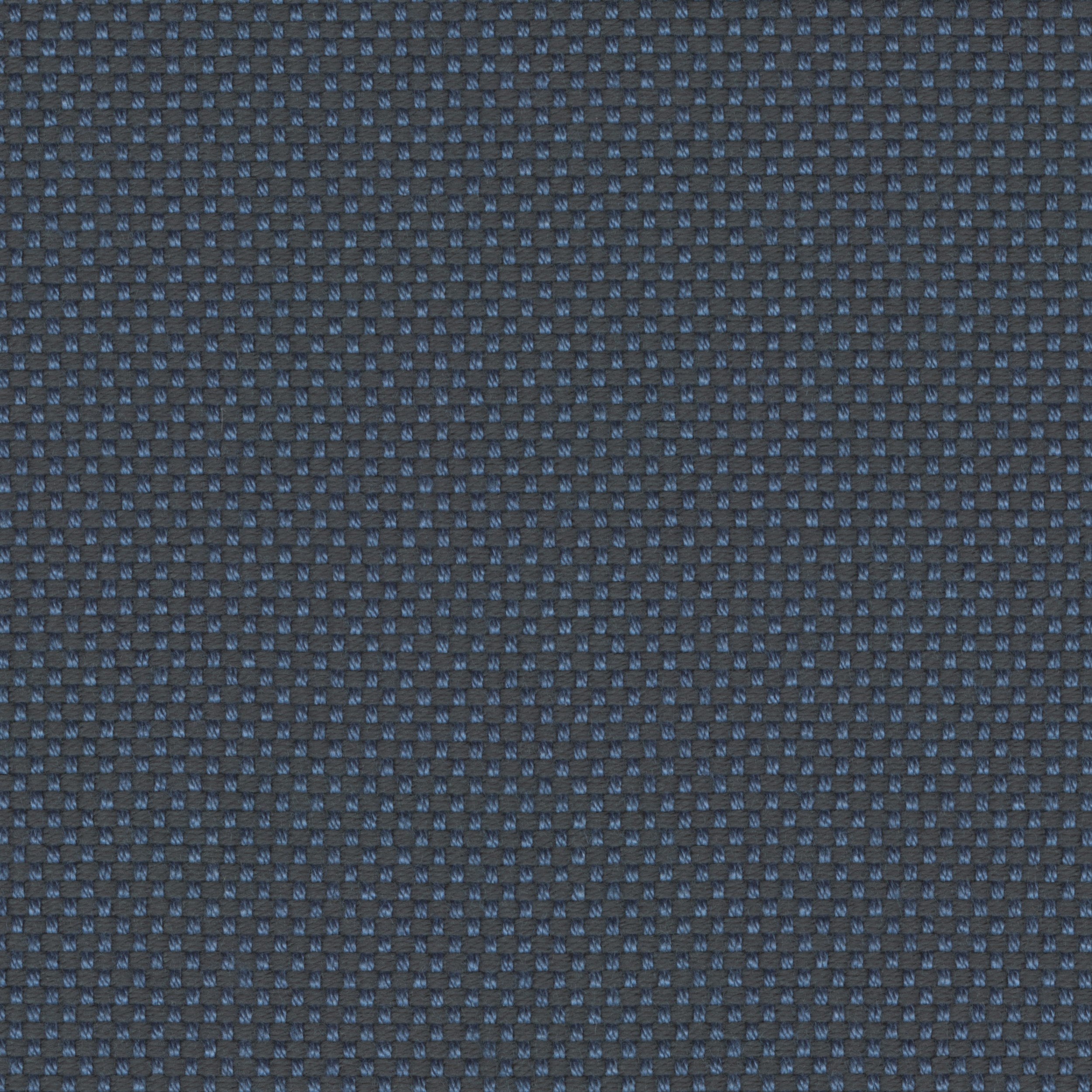 FOCUS - 113