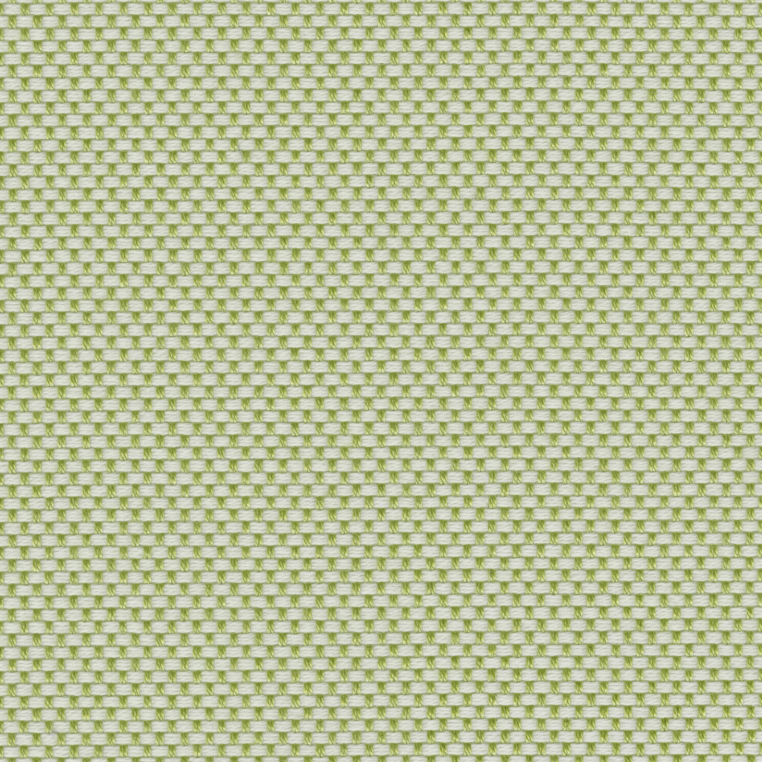 Mostra il prodotto FOCUS - 147 del produttore Création Baumann