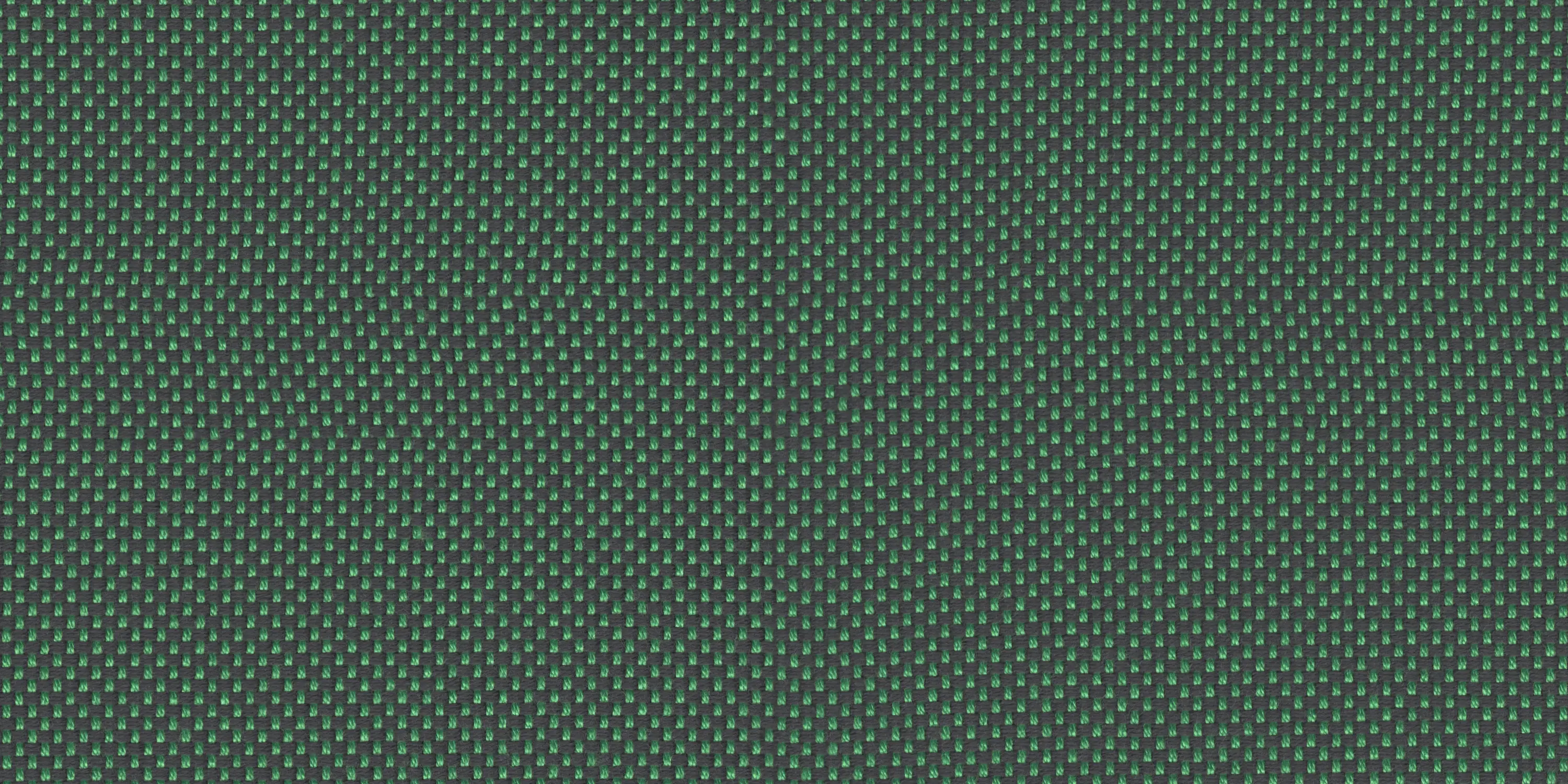 Création Baumann - FOCUS - 150