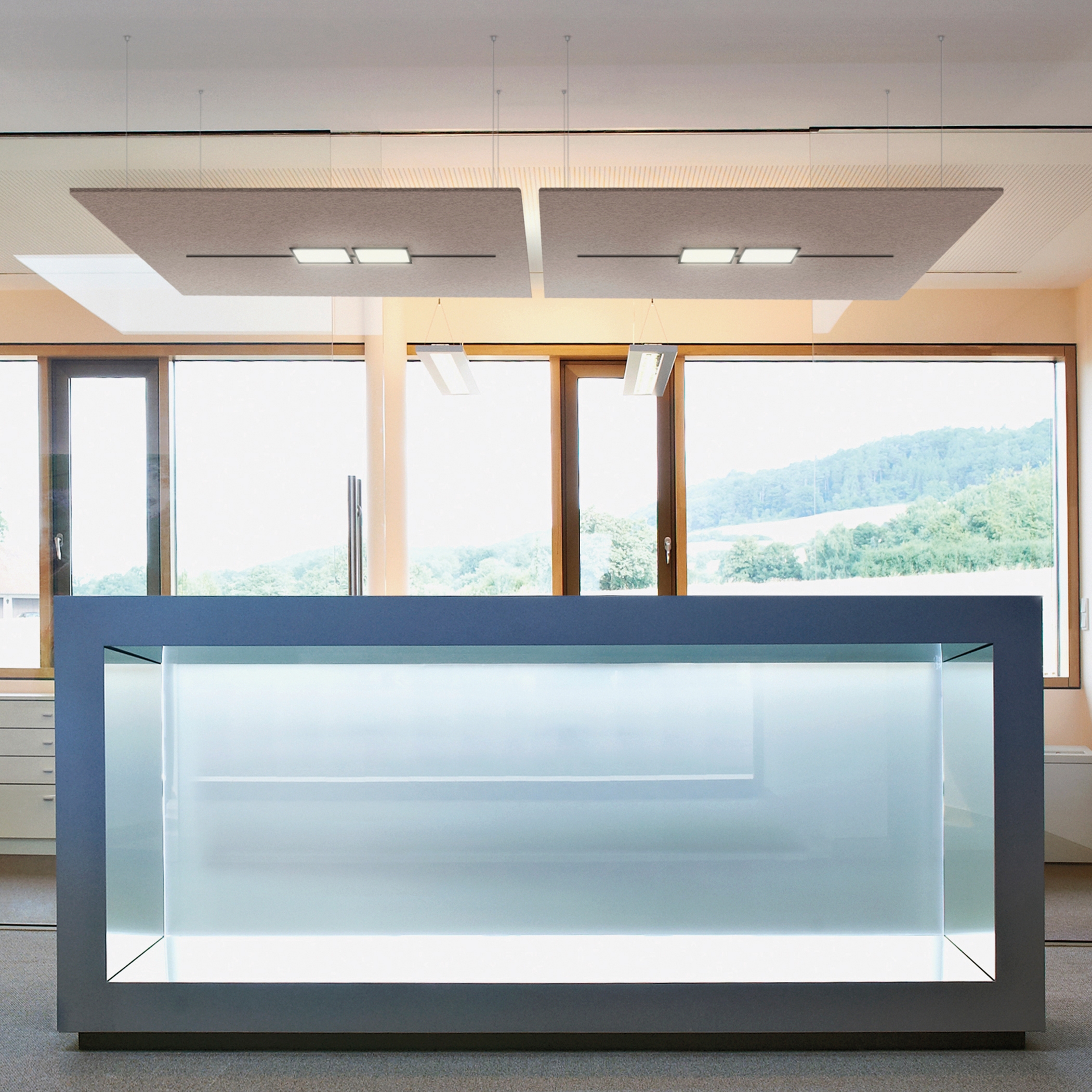 Display product ACOUSTIC FIBER CELING from manufacturer Création Baumann