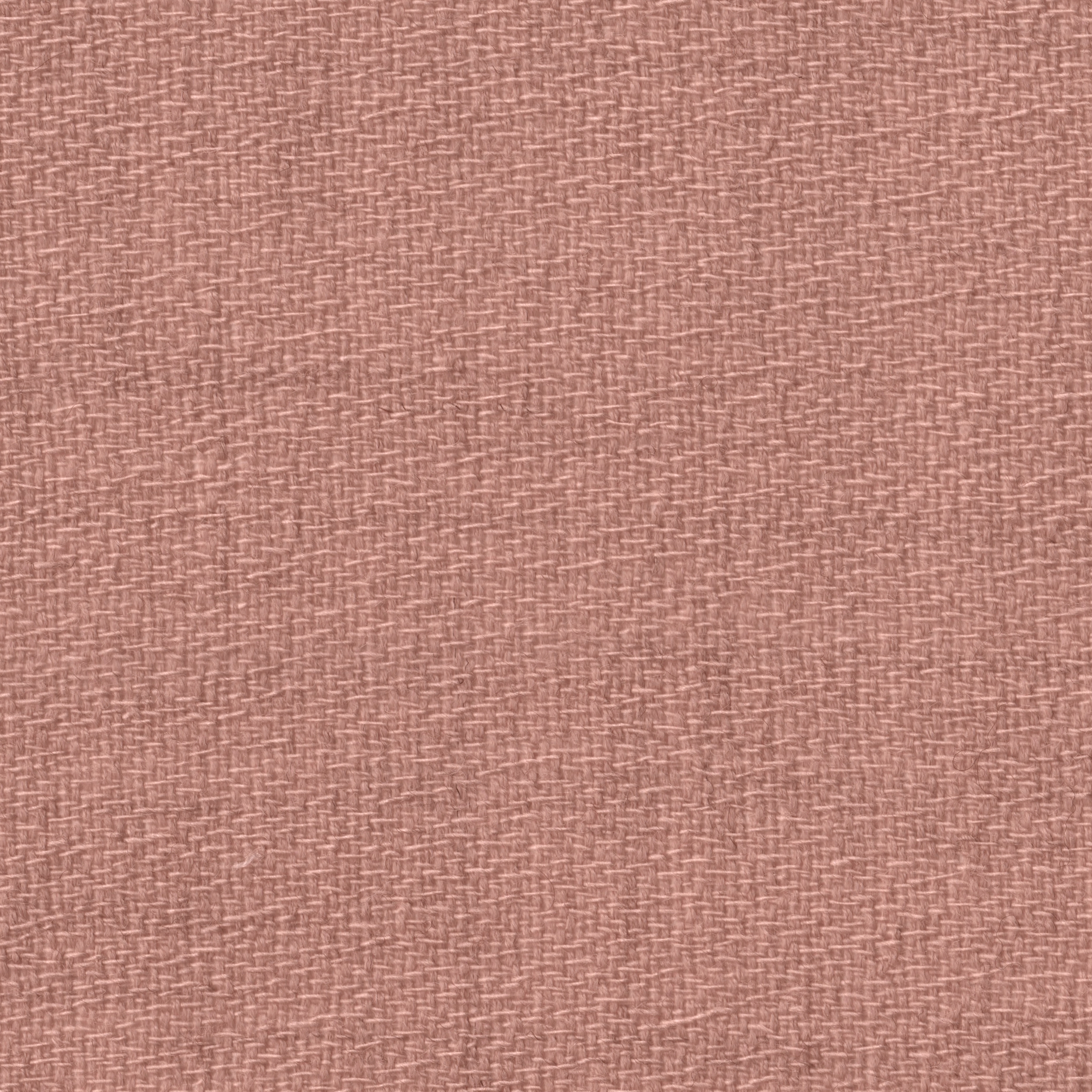 Mostra il prodotto NARCIS - 716 del produttore Création Baumann