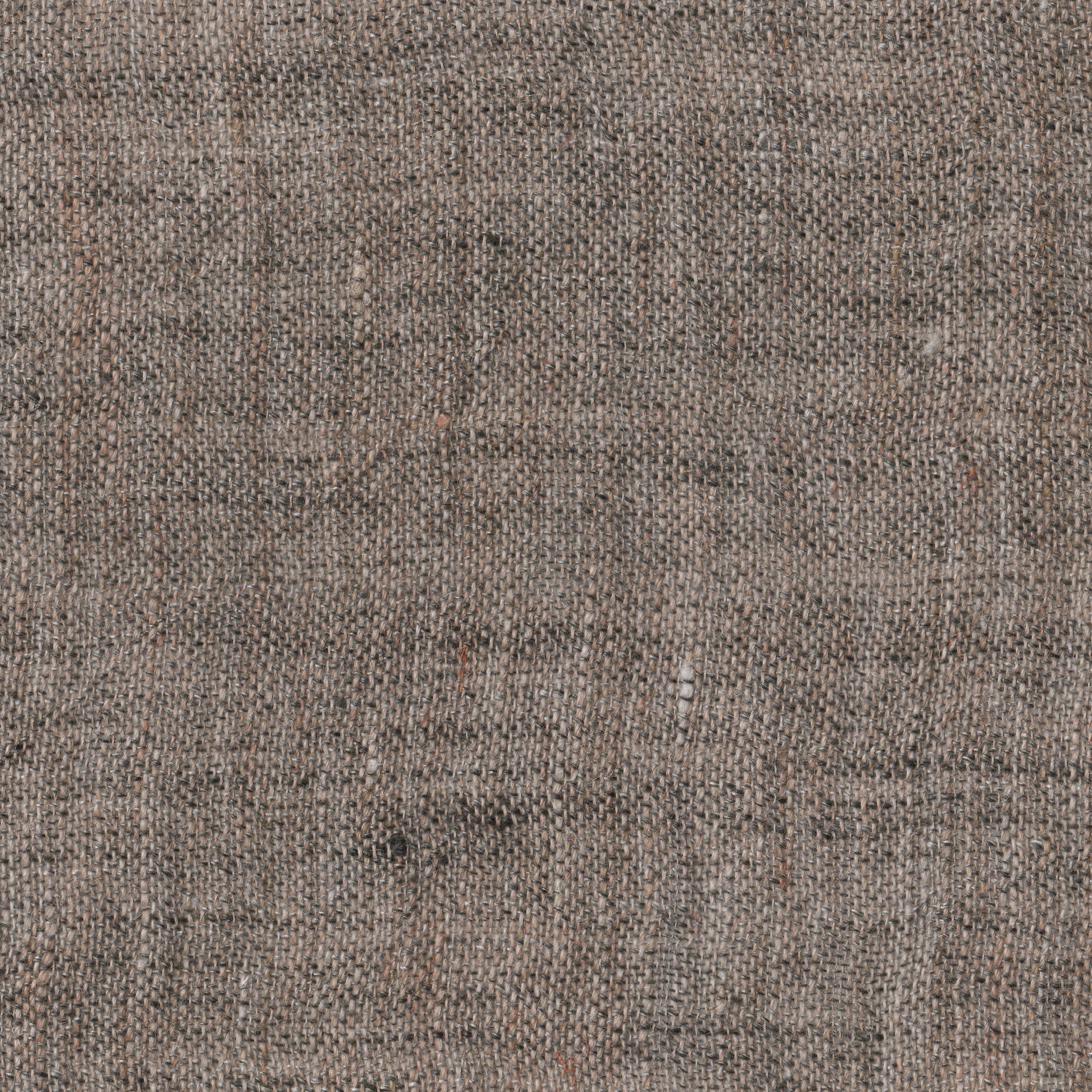 Mostrar el producto GINGERINO - 41 del fabricante Création Baumann