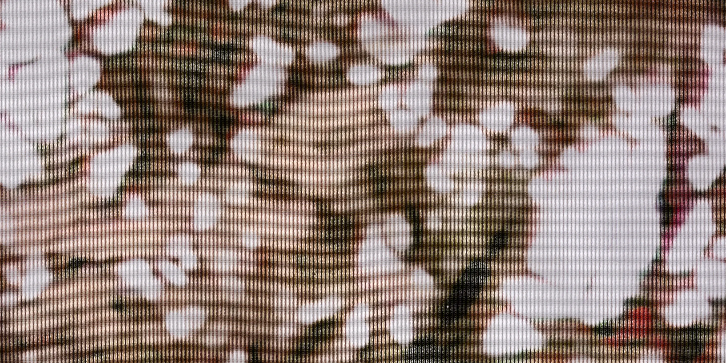 gallery-slide-0