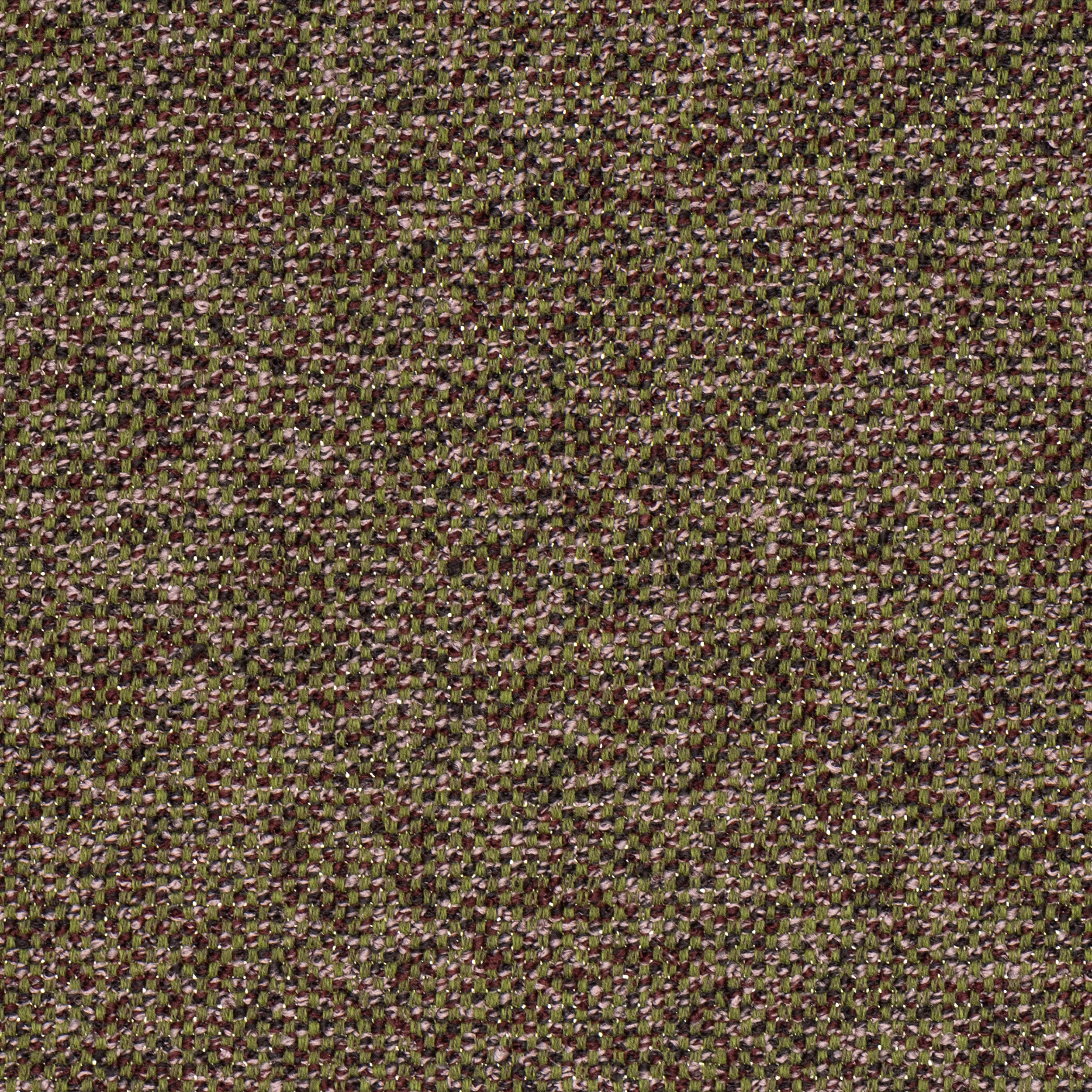 ALVAR - 501