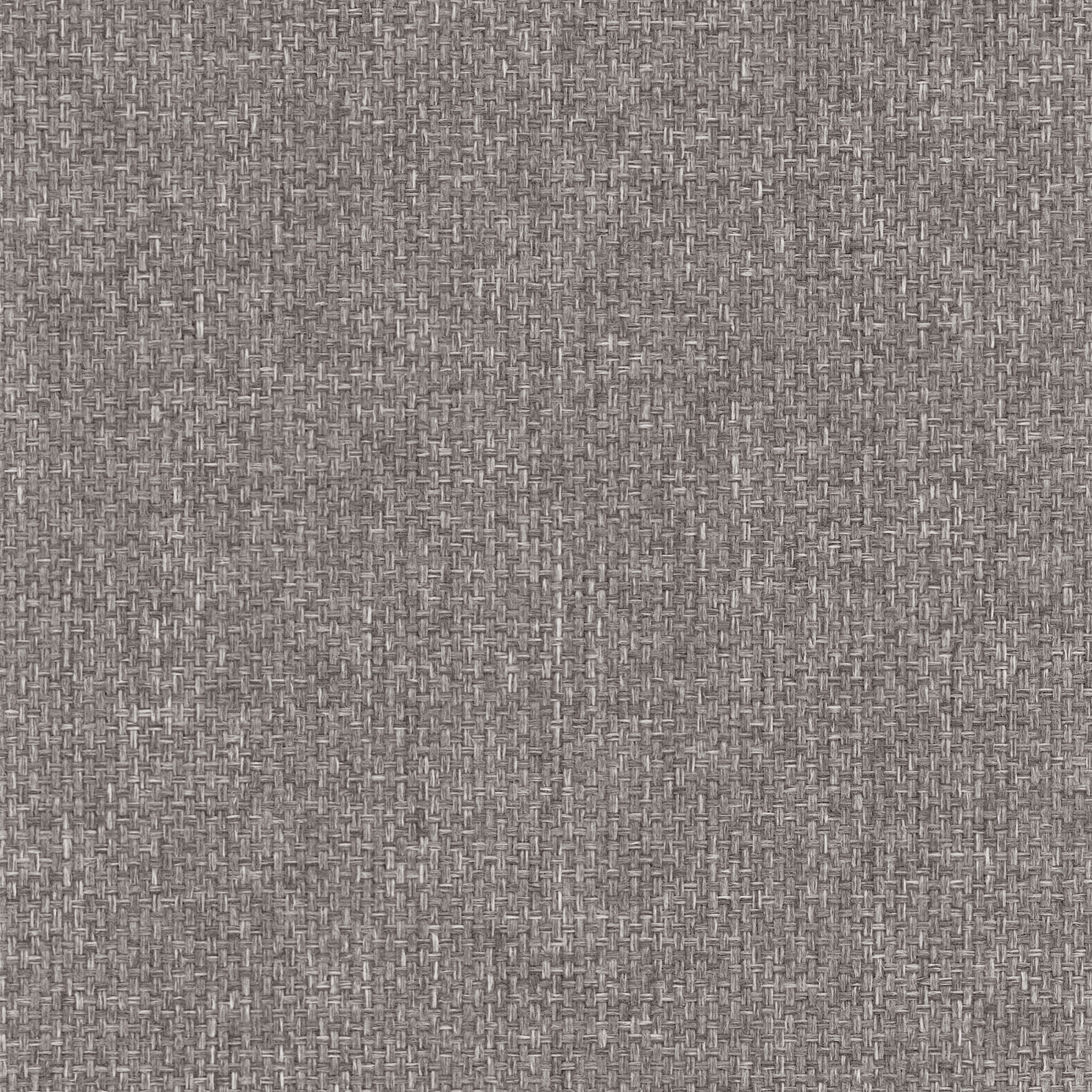 SCRELINO - 319
