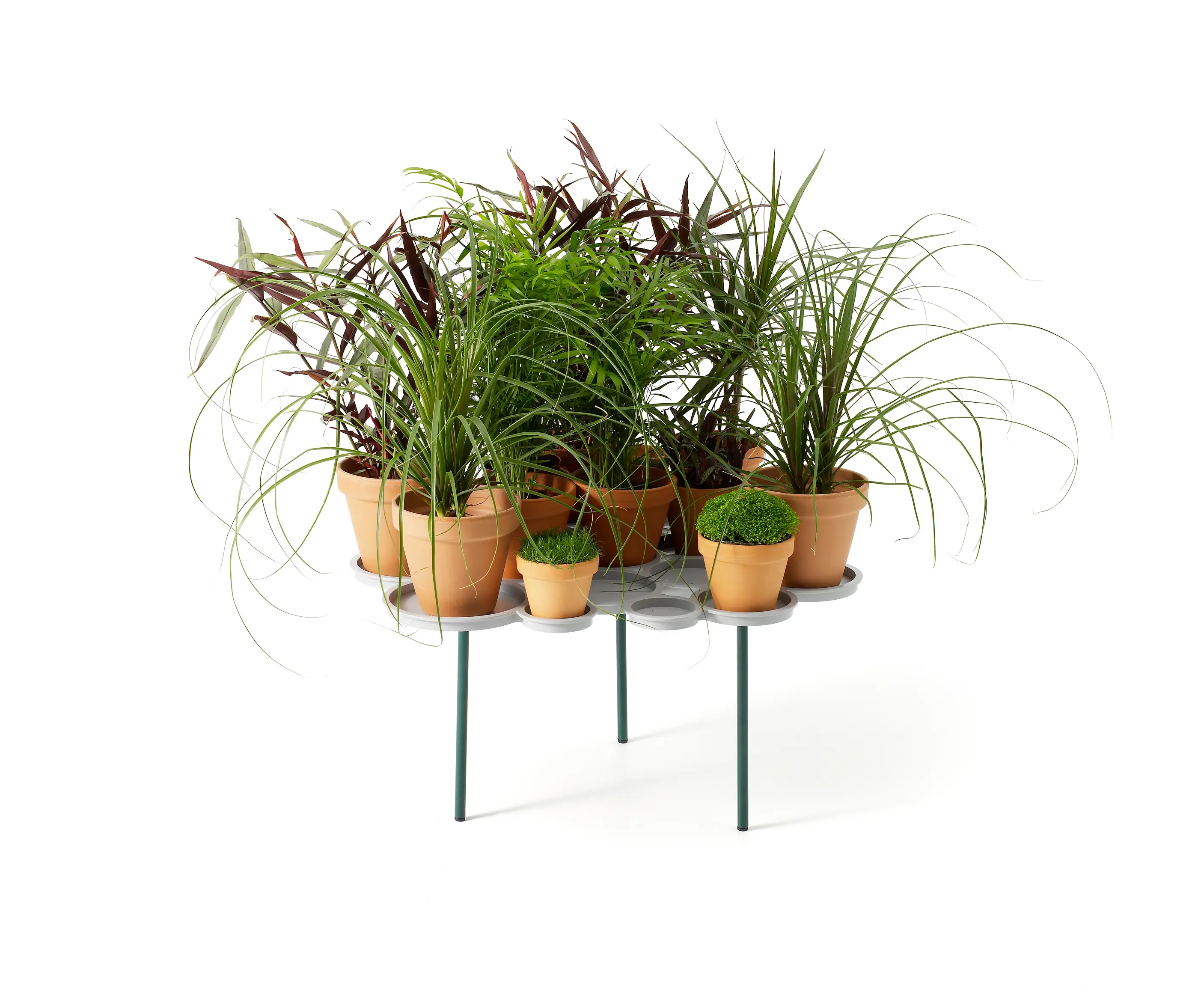 OFFECCT - Green Pads