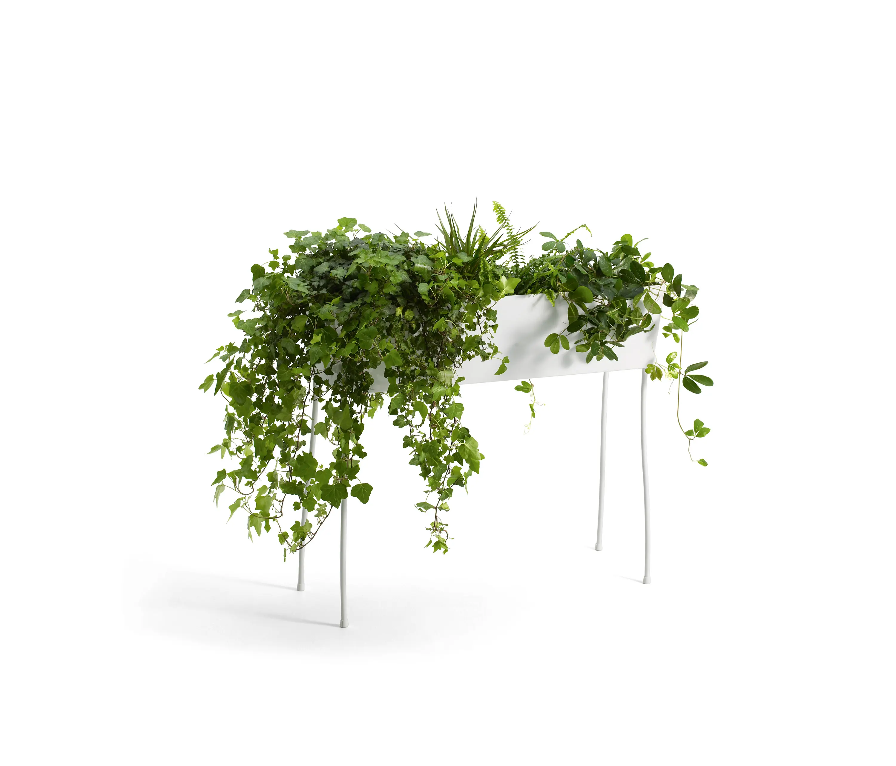 OFFECCT - Green Pedestals