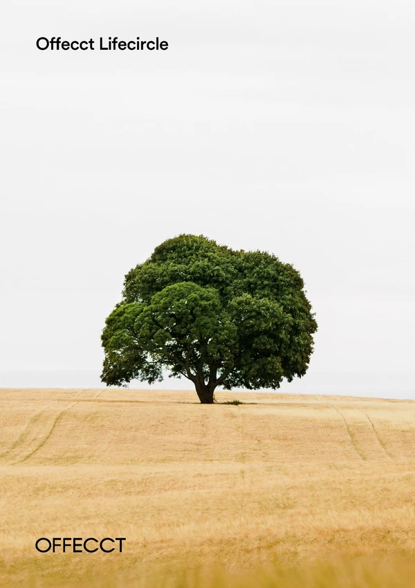 Preview image for the file Lifecircle