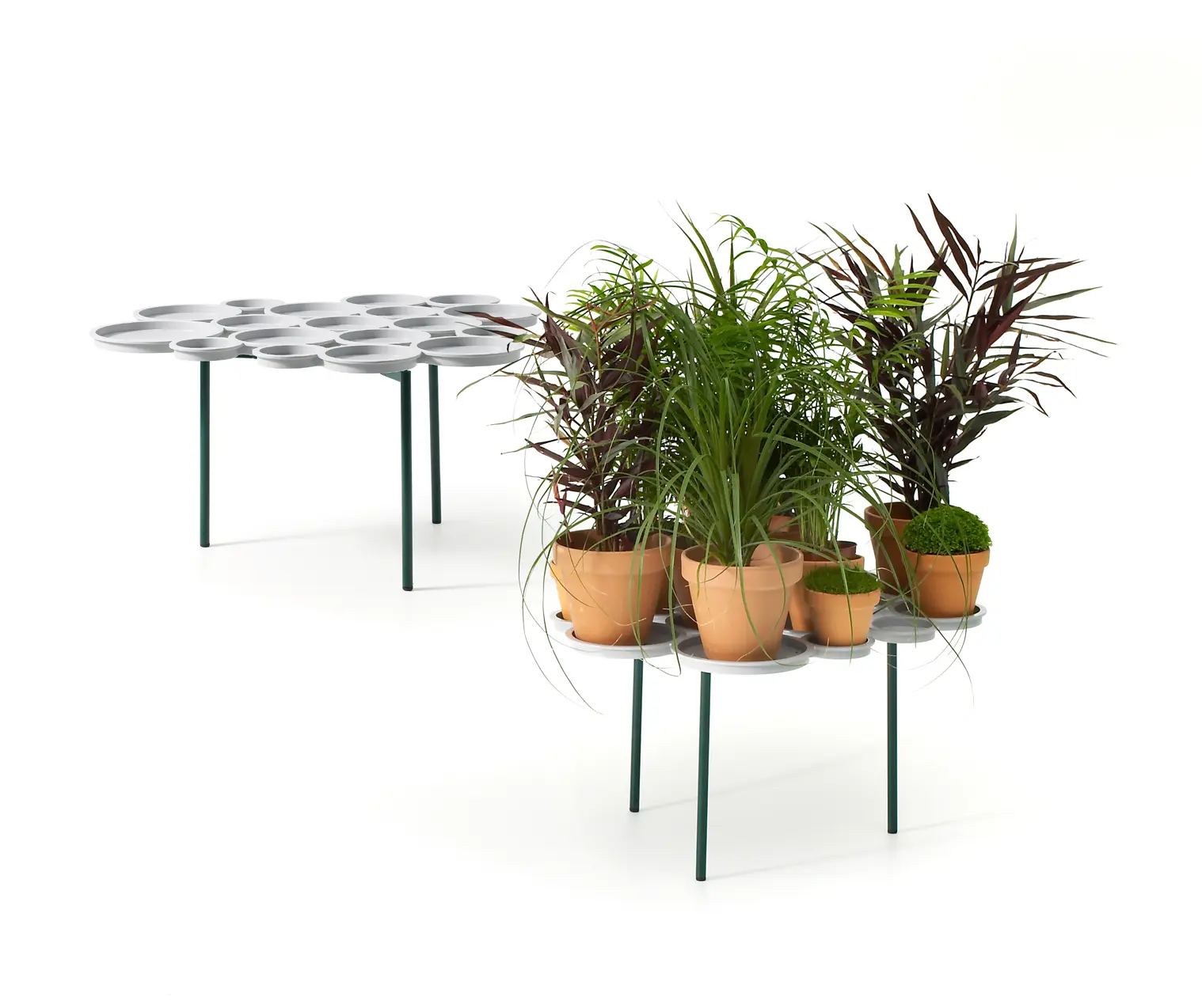 OFFECCT - Green Pads
