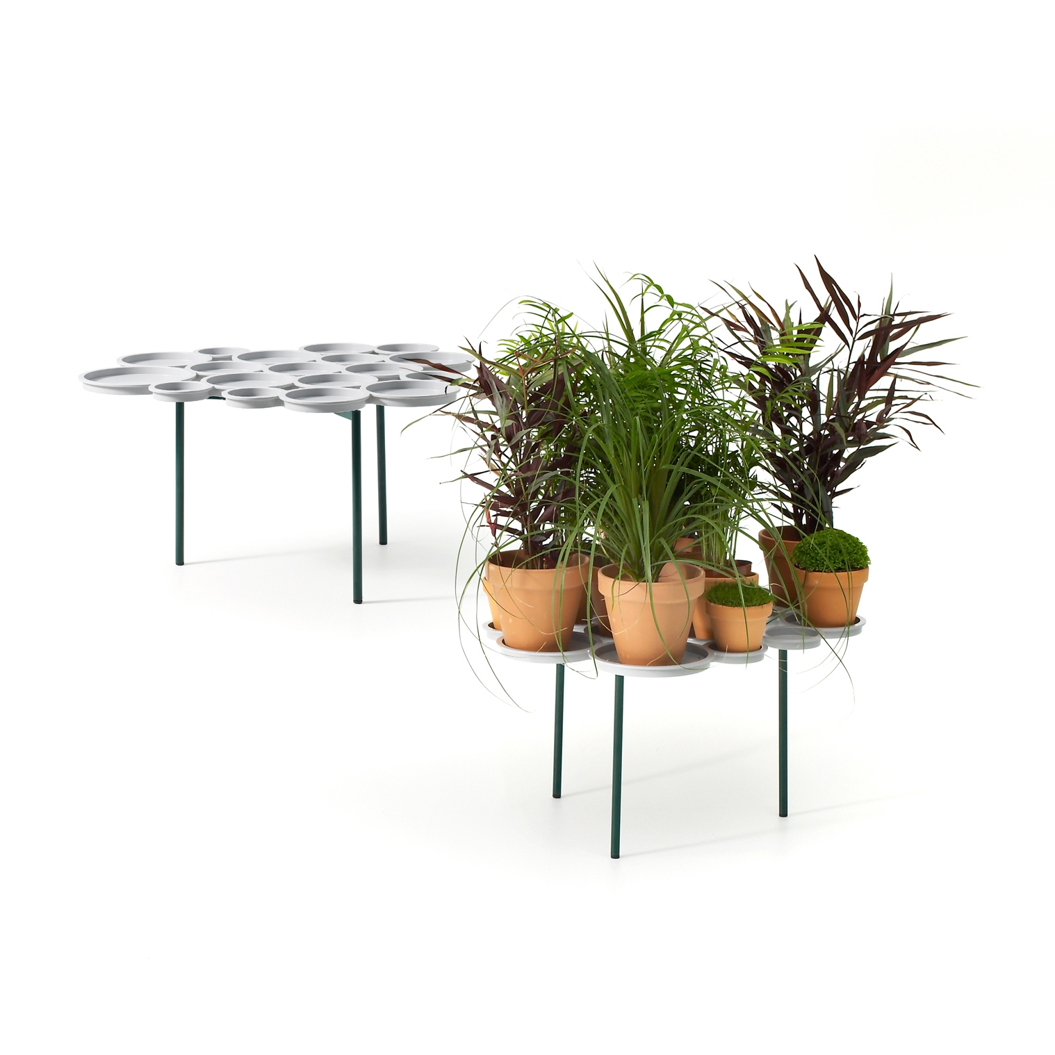Mostrar el producto Green Pads del fabricante OFFECCT