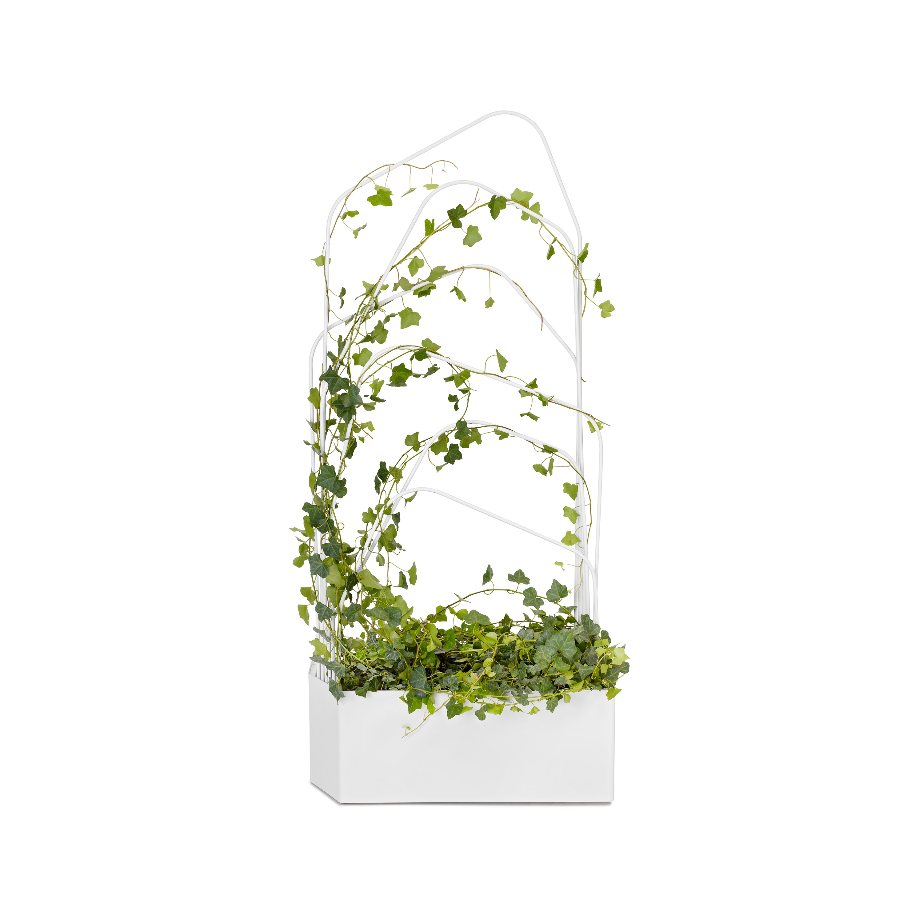 Display product O₂asis - Green Divider from manufacturer OFFECCT