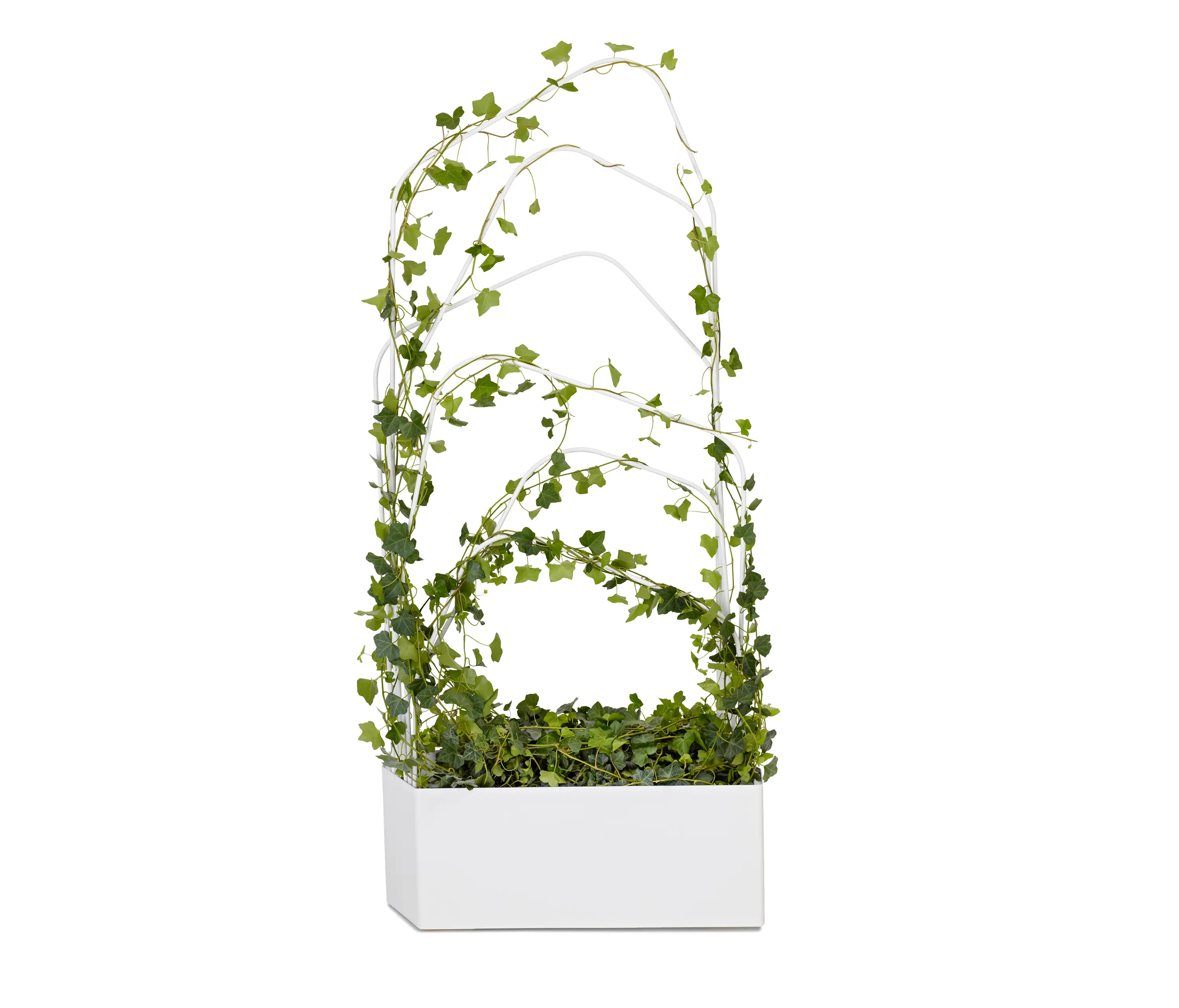 OFFECCT - O₂asis - Green Divider