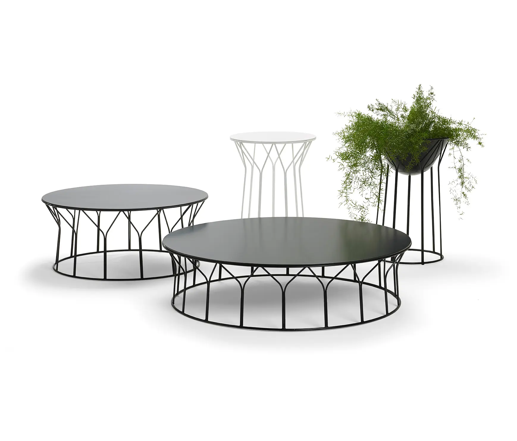 OFFECCT - Circus
