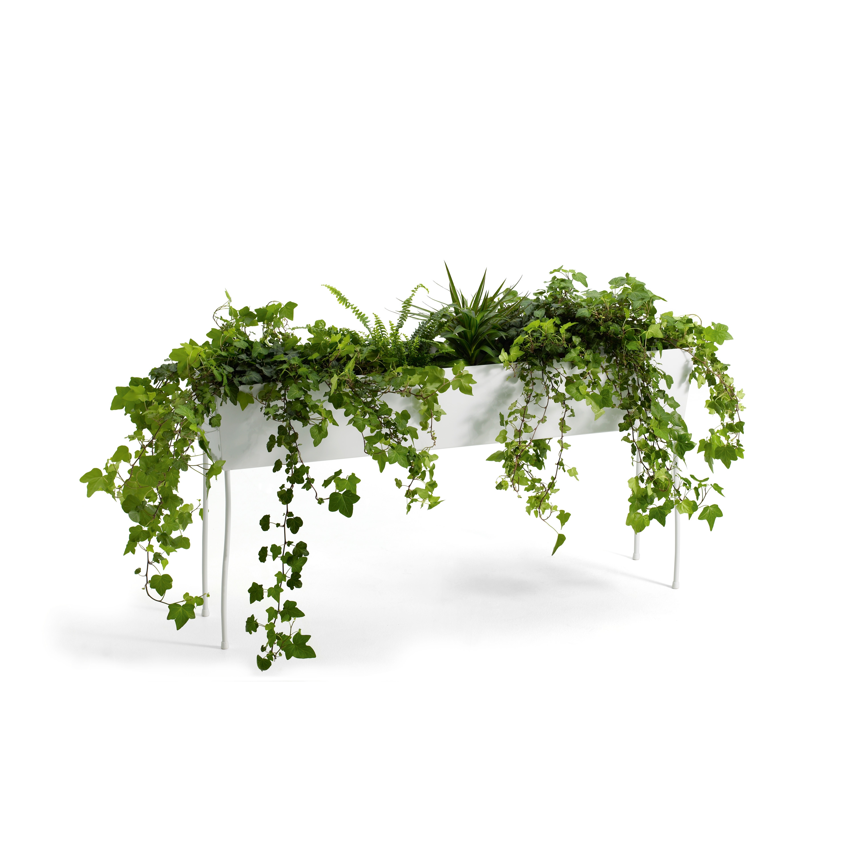 Display product Green Pedestals from manufacturer OFFECCT