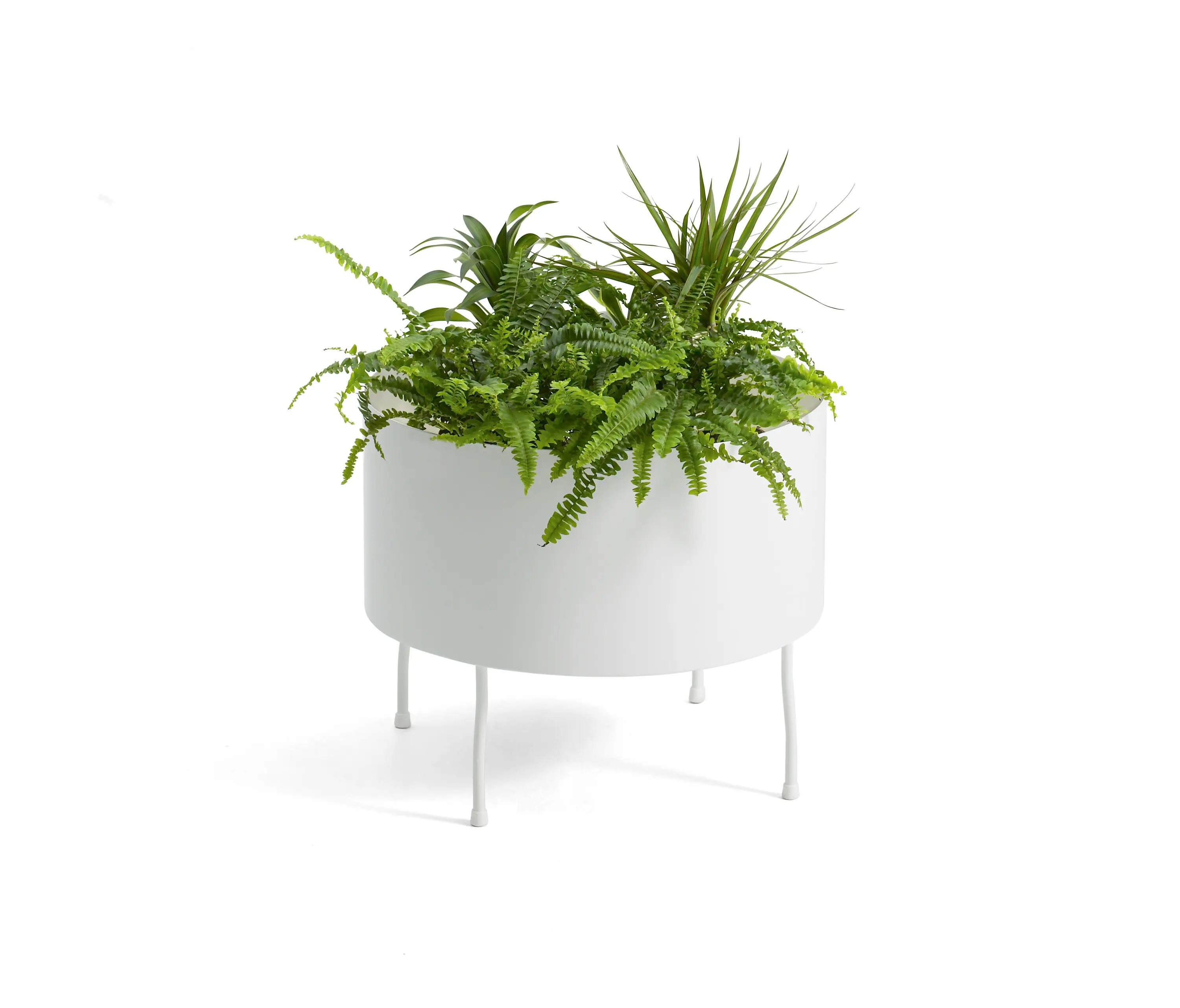 OFFECCT - Green Pedestals