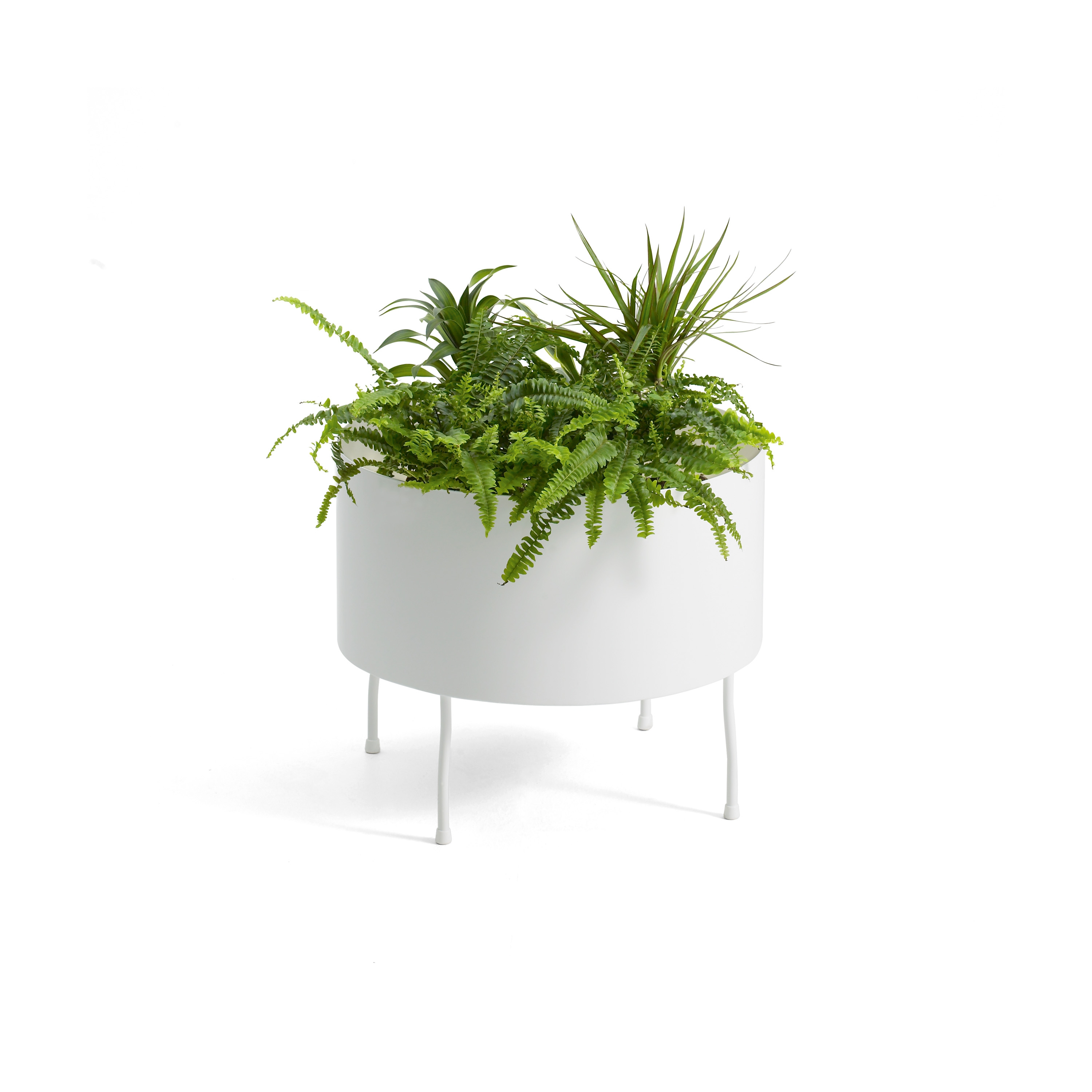Mostrar el producto Green Pedestals del fabricante OFFECCT