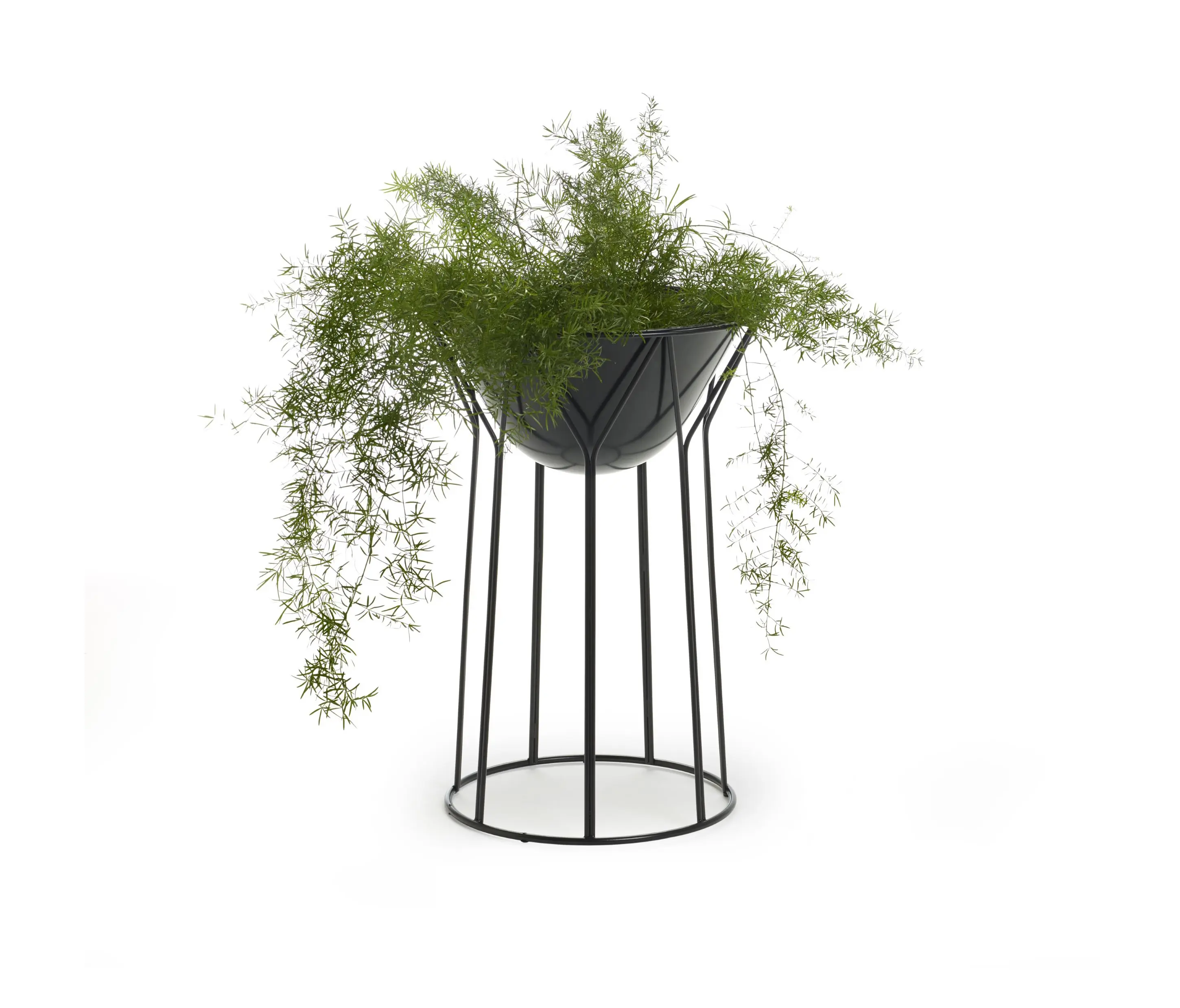 OFFECCT - Circus planter