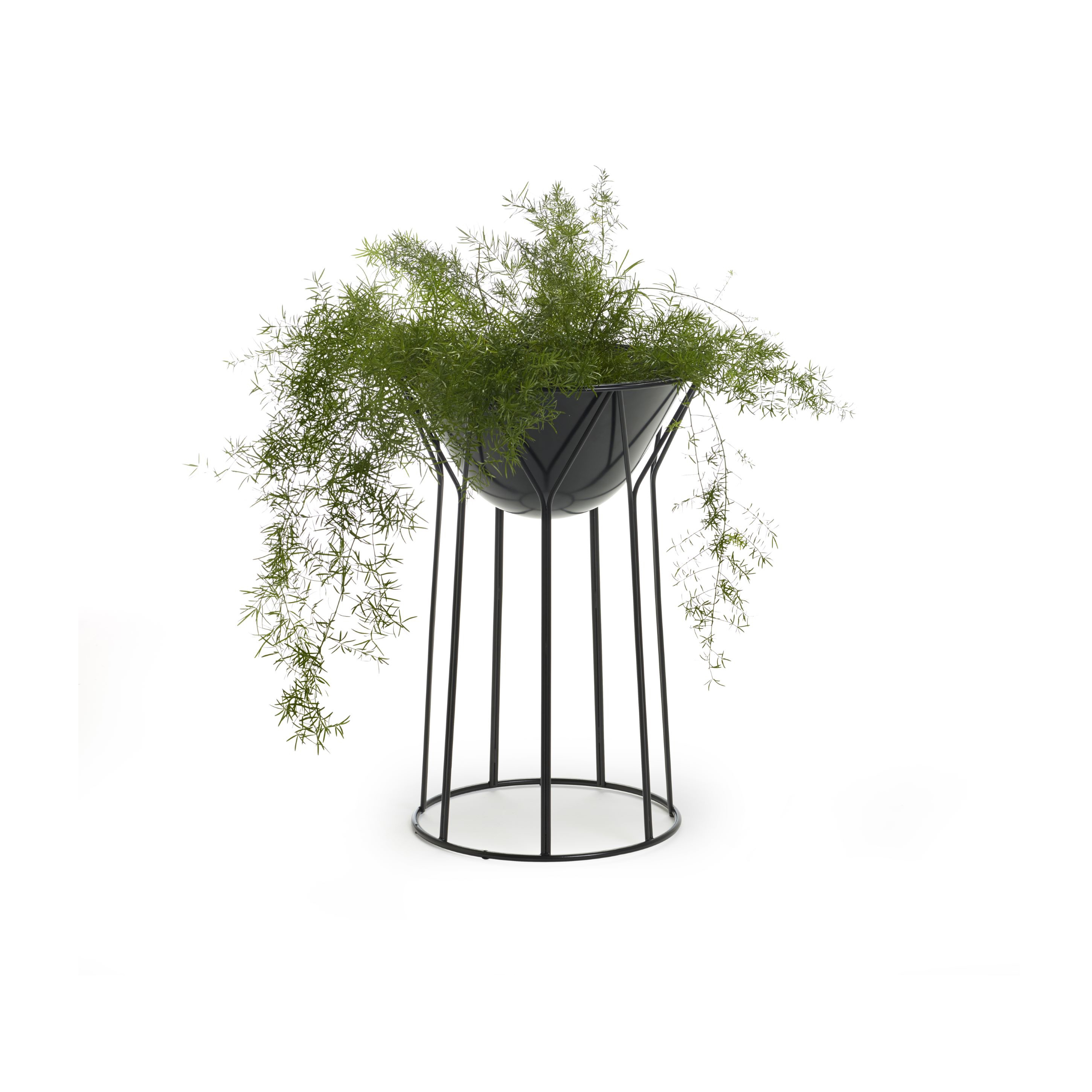 Display product Circus planter from manufacturer OFFECCT