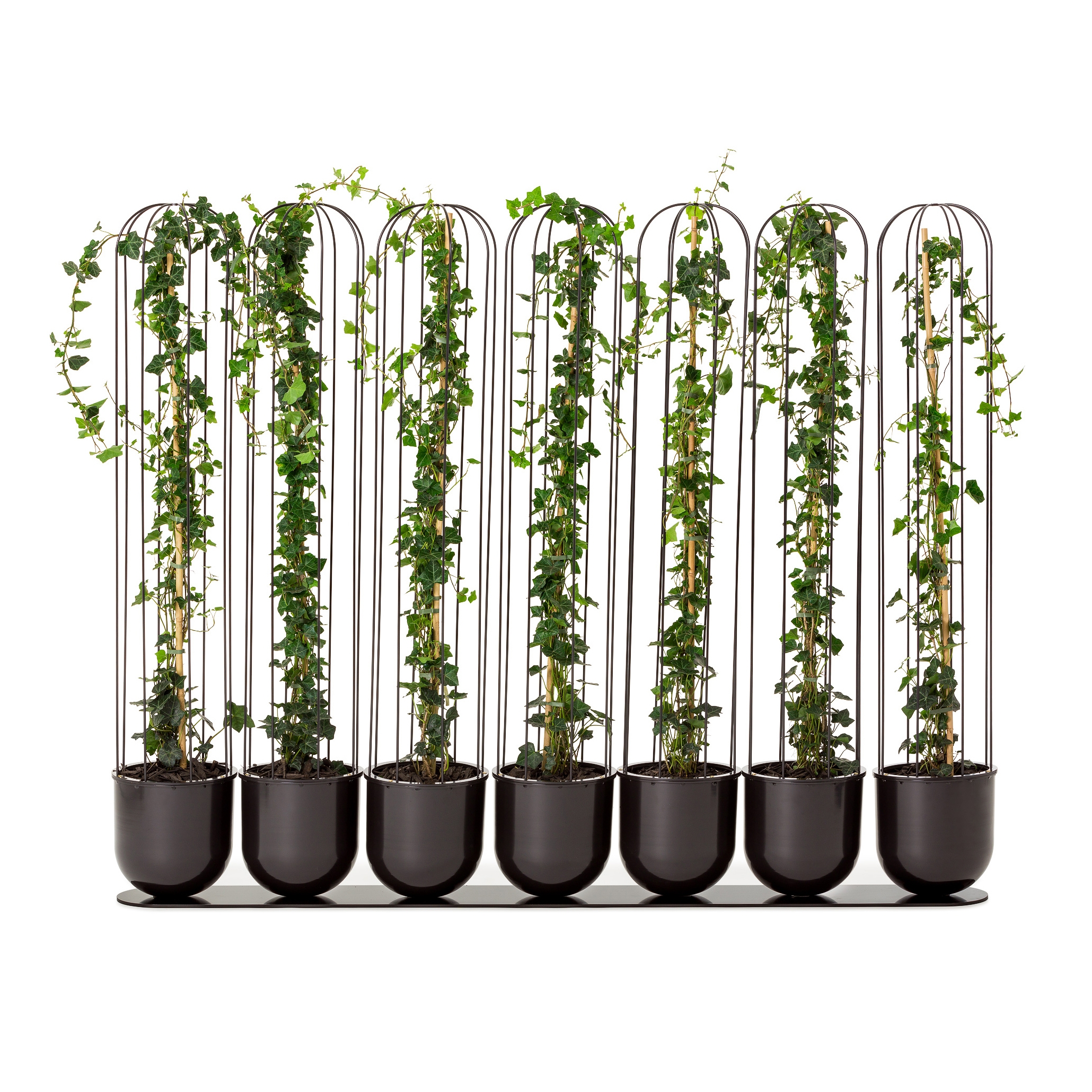 Afficher le produit Cacti planter du fabricant nola