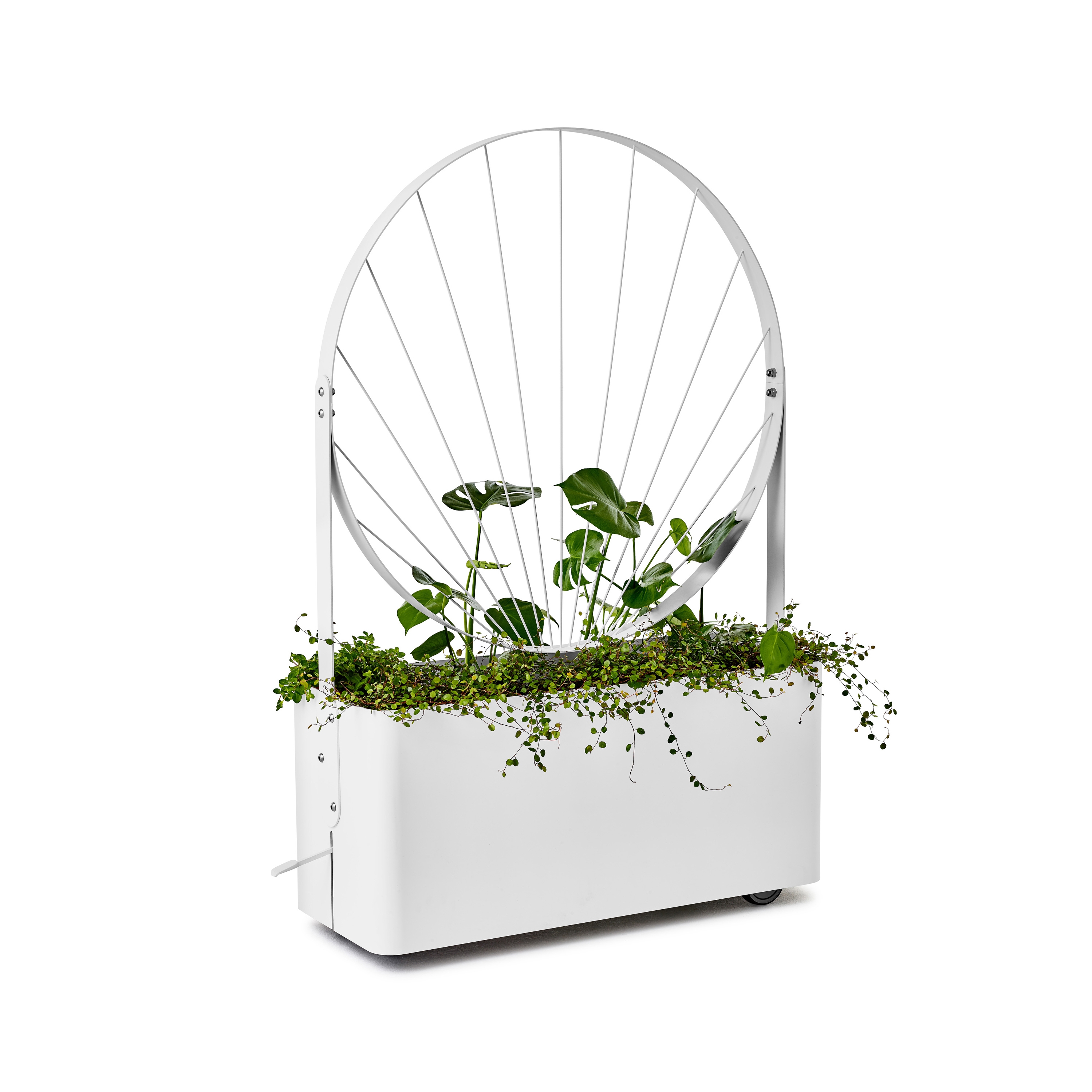 Produkt Gro planter des Herstellers nola anzeigen