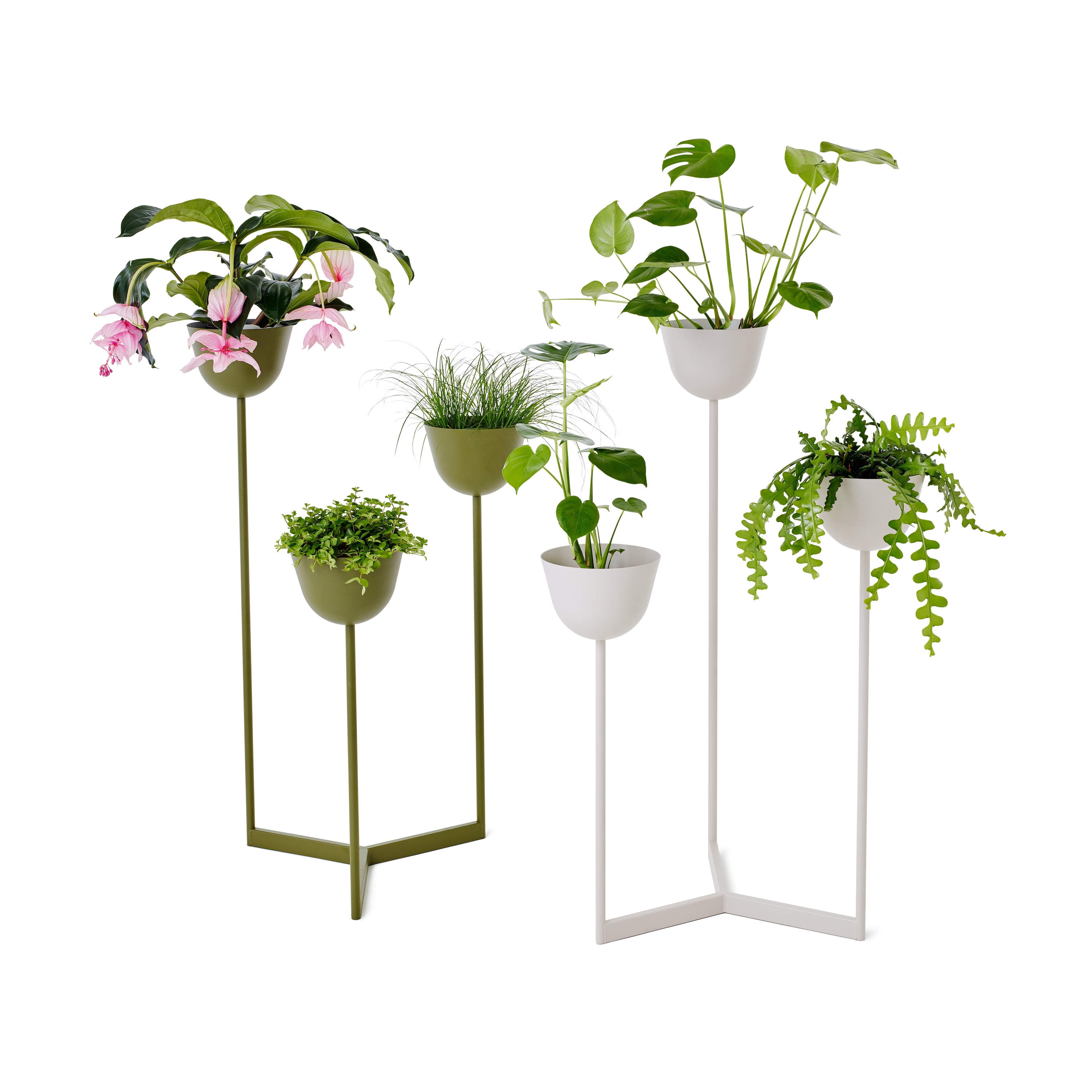 Mostra il prodotto Pots planters del produttore nola