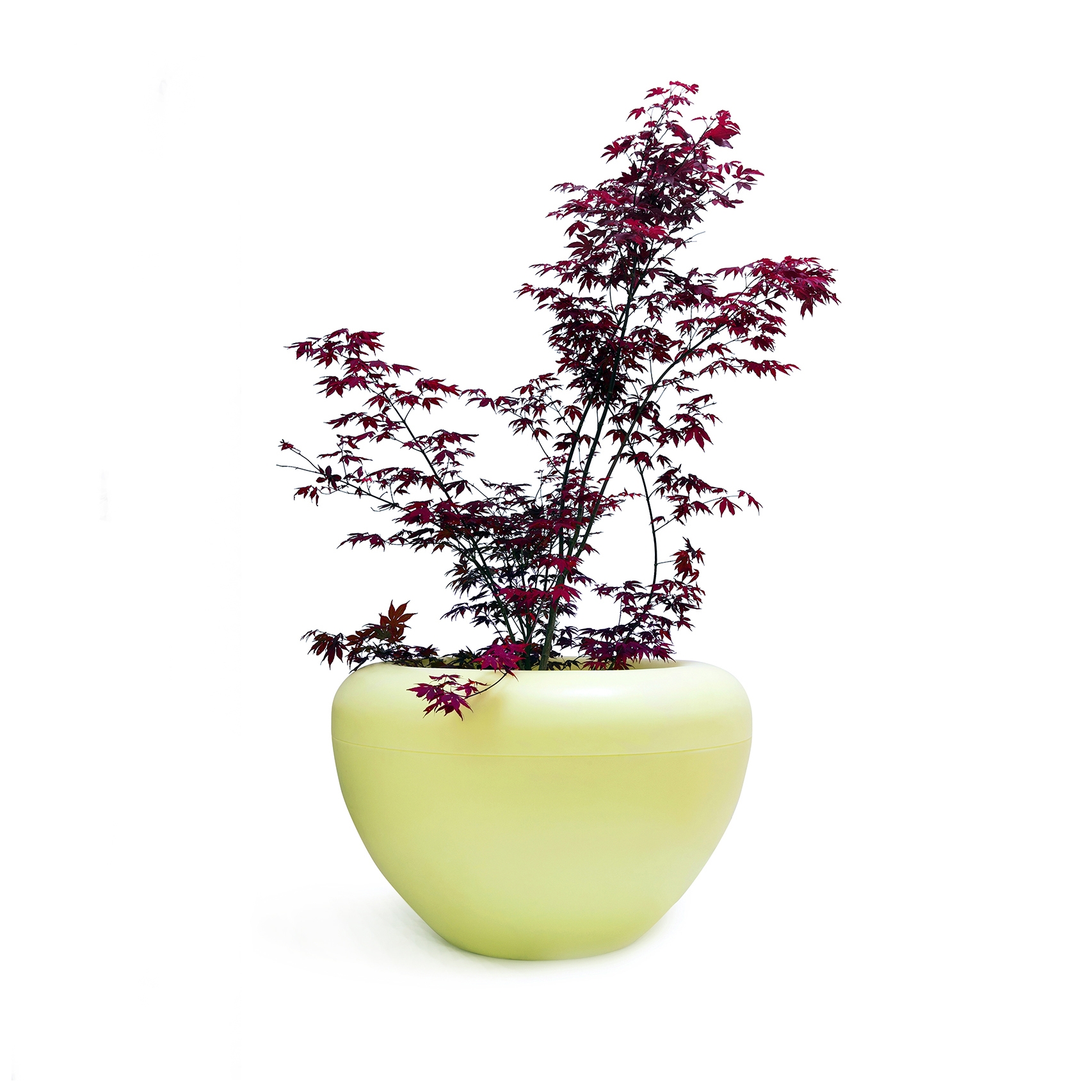 Display product Scoop moonlight planter from manufacturer nola